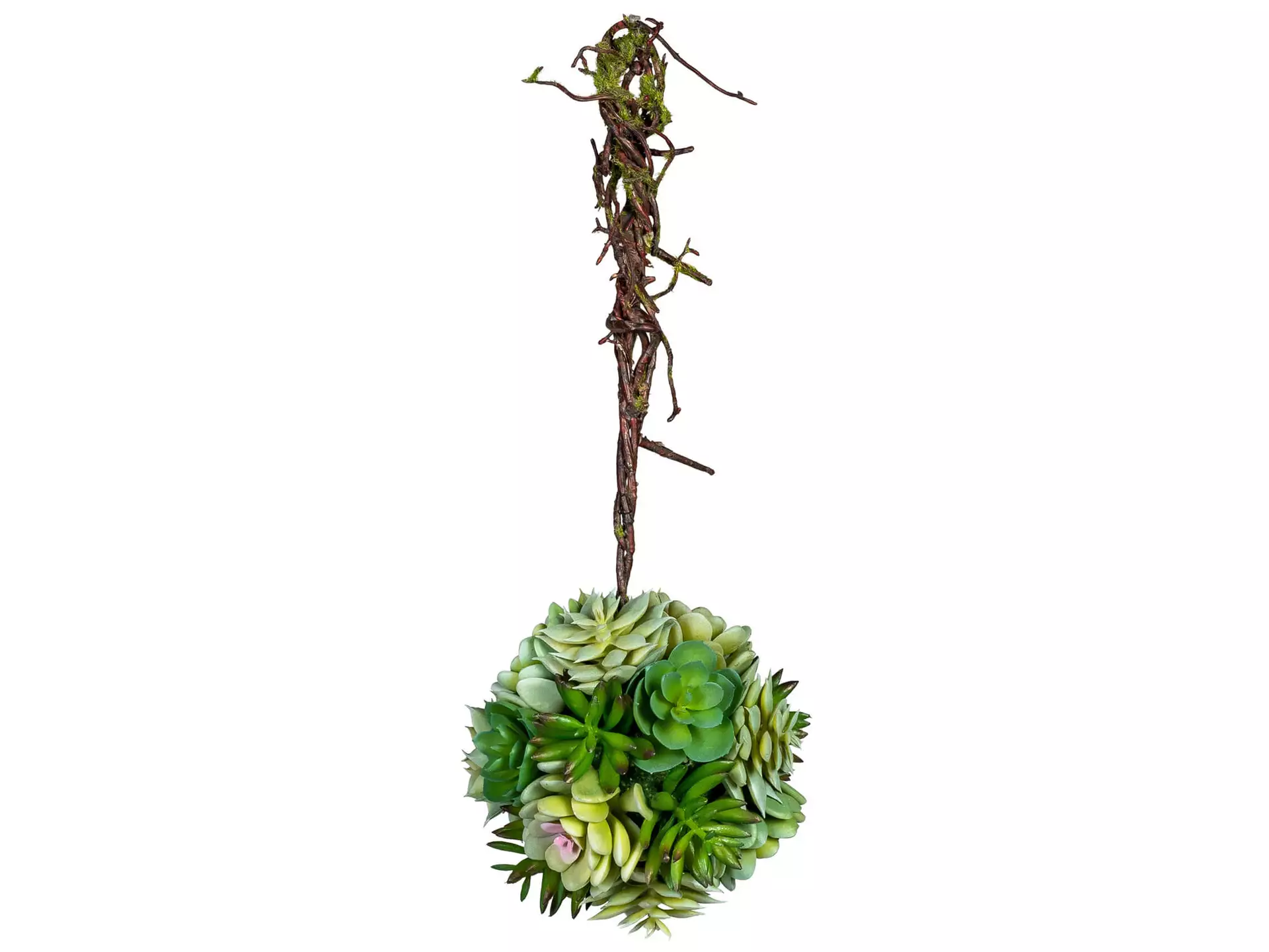 Kunstpflanze Sukkulentenkugel D: 14 cm Gasper