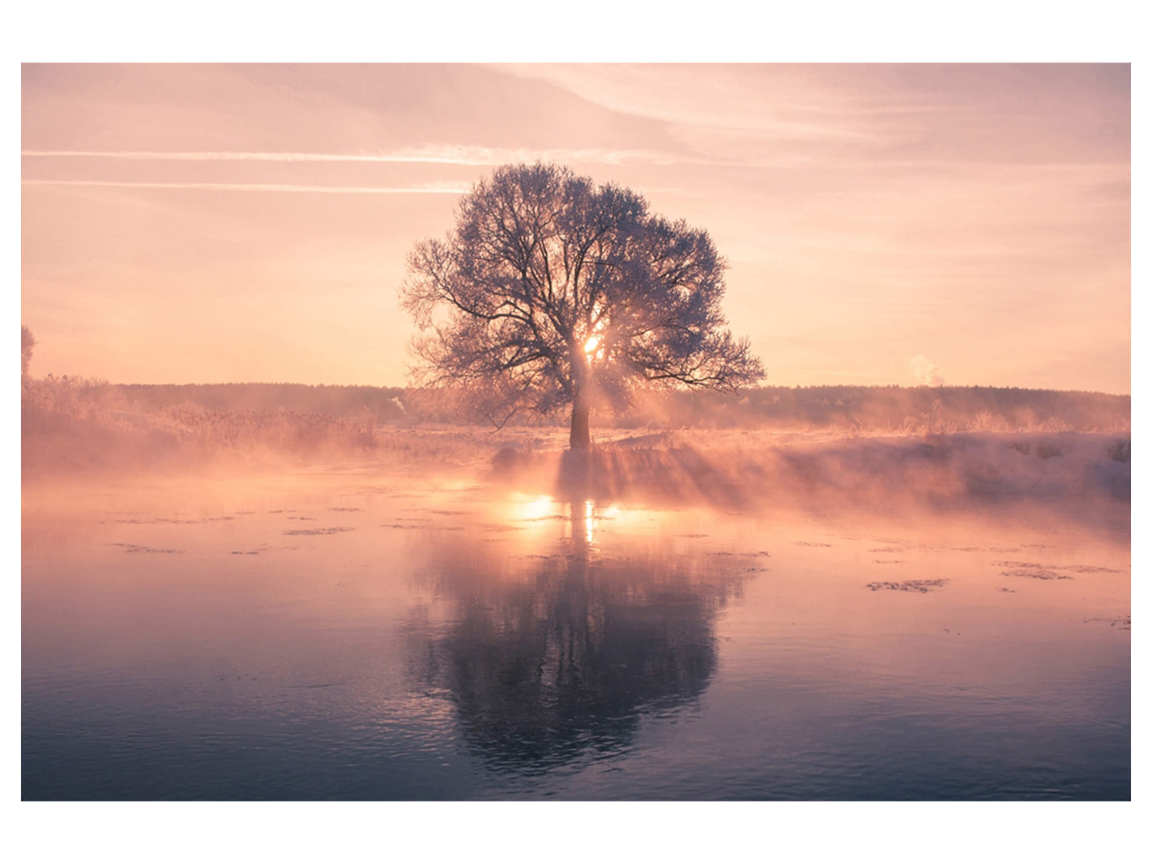 Digitaldruck auf Acrylglas Baum mit Spiegelung image LAND / Grösse: 150 x 100 cm