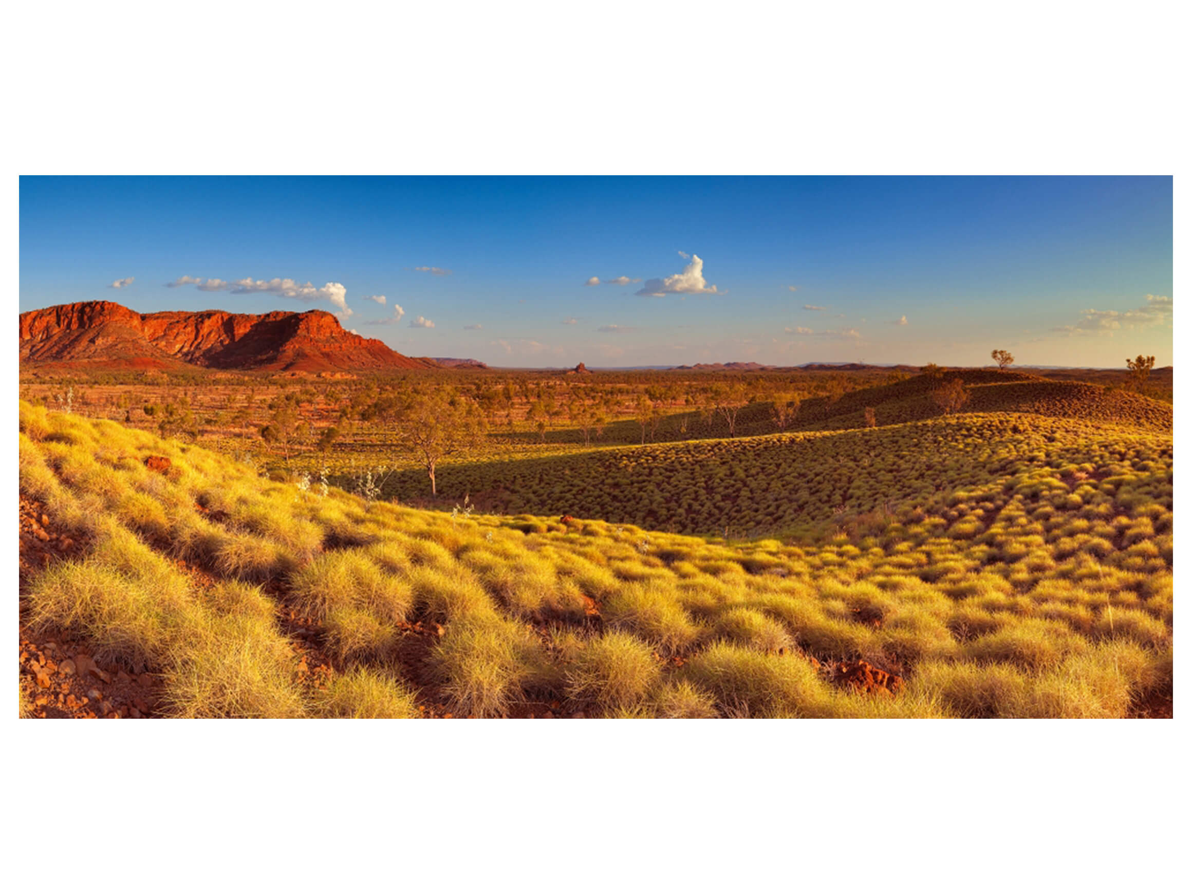 Digitaldruck auf Acrylglas Arizona image LAND / Grösse: 140 x 66 cm