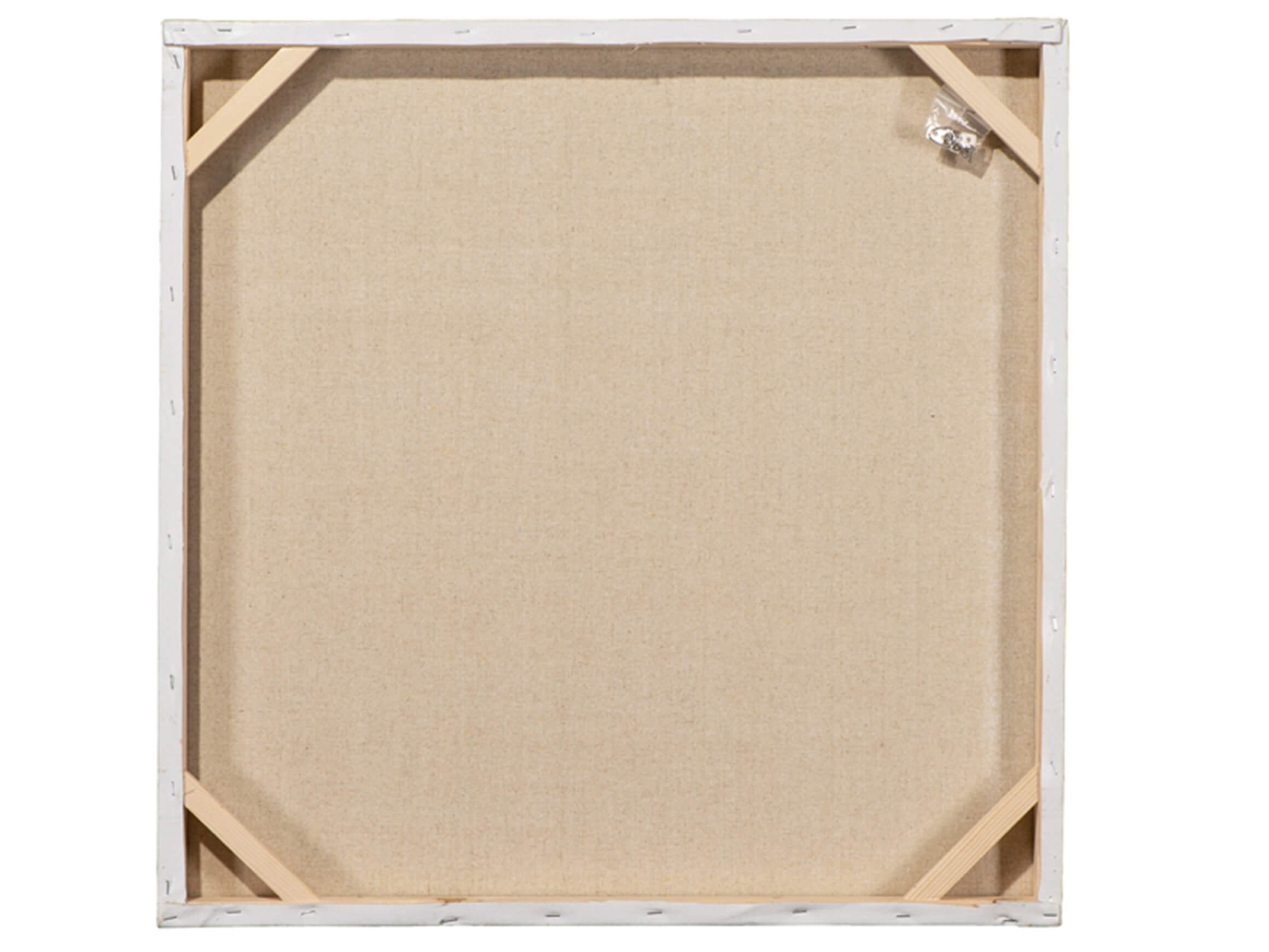 Bild Kätzchen mit Blumenperücke image LAND