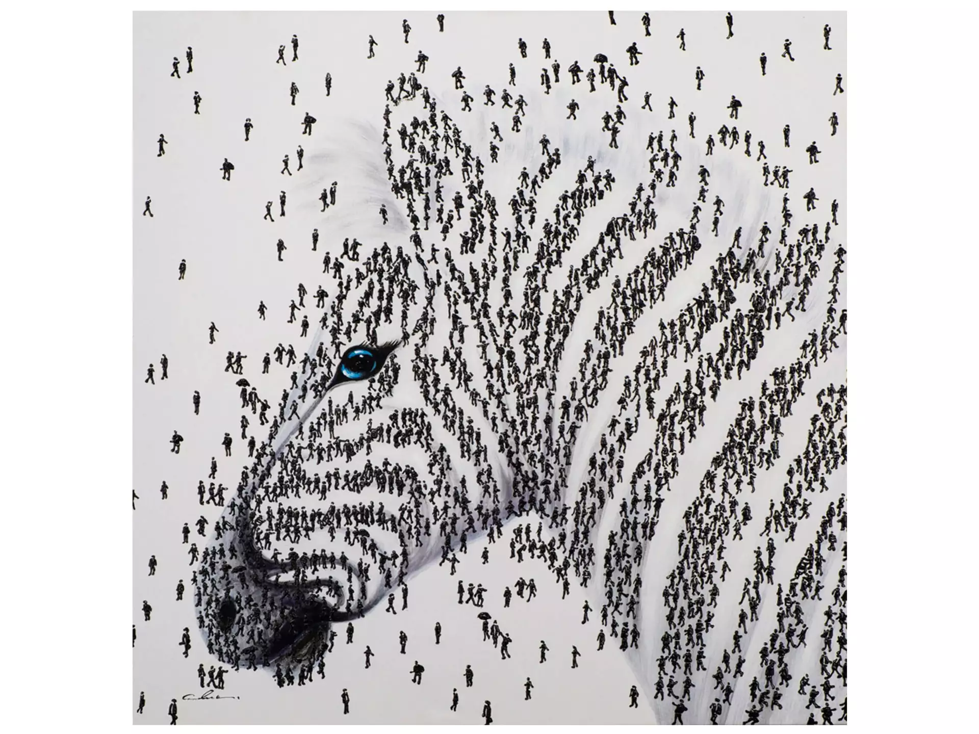 Bild Zebra Aus Menschen 2 image LAND