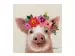 Bild Kleines Schweinchen mit Blumen Dekoration image LAND