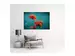 Digitaldruck auf Acrylglas Mohnblumen 5 image LAND / Grösse: 120 x 80 cm