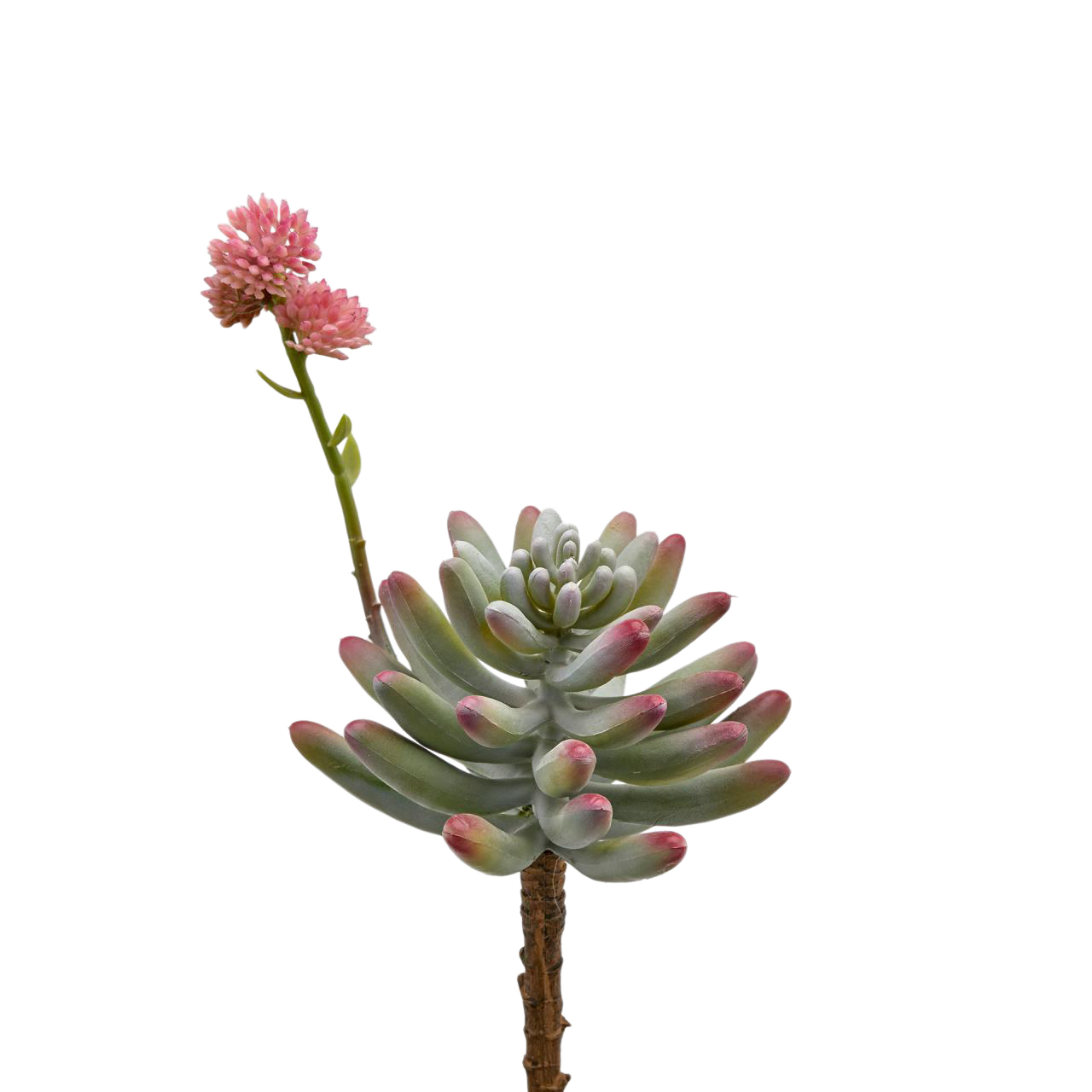 Kunstblume Fetthenne Rosa H: 24 cm Edg