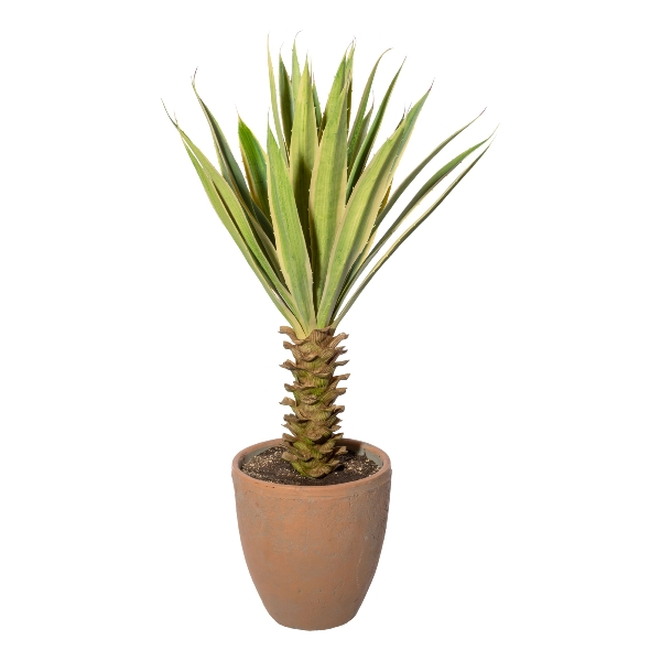 Kunstpflanze Yucca im Terracottatopf, Grüncreme H: 75 cm Gasper