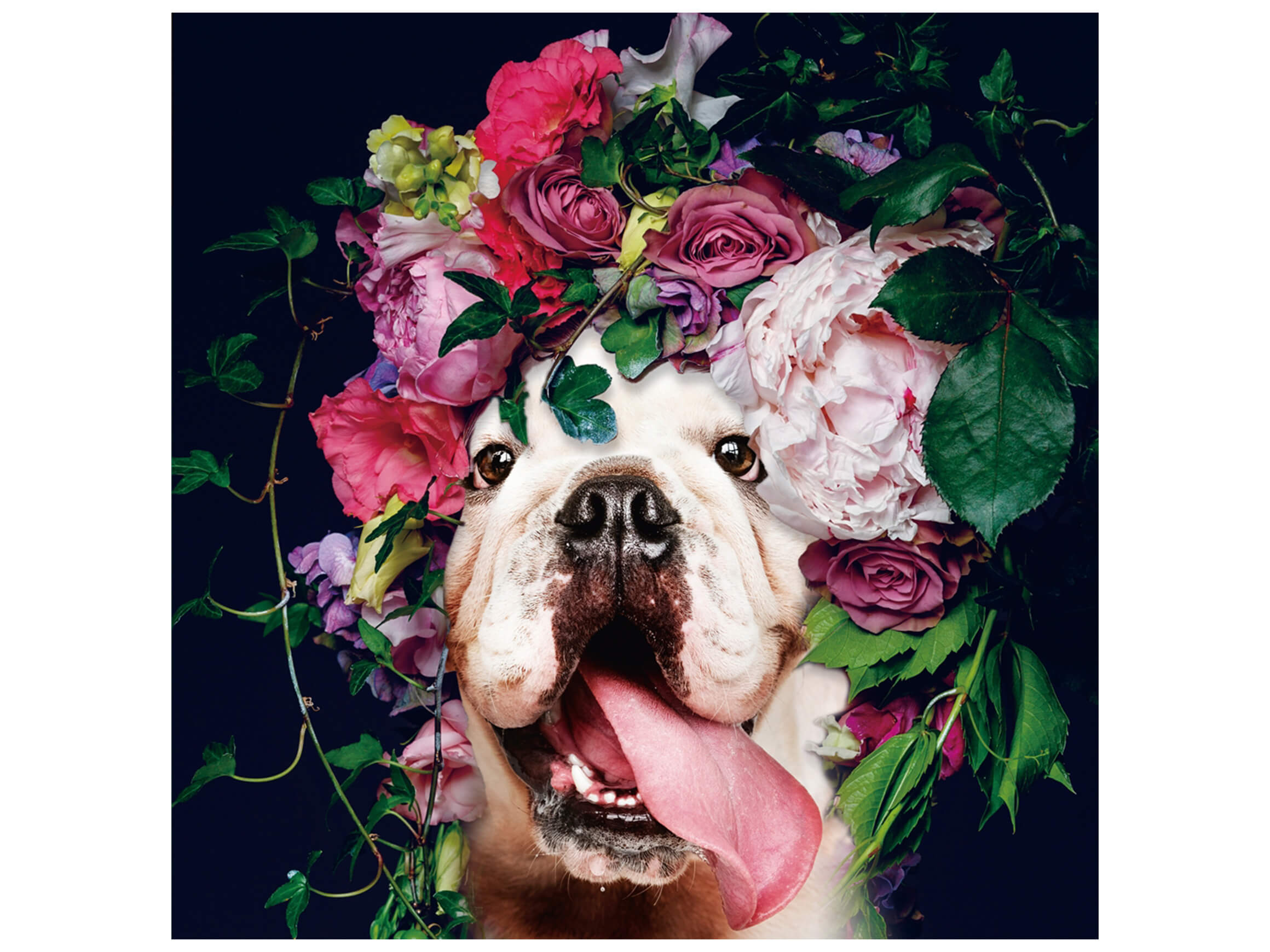 Digitaldruck auf Glas Hund mit Buntem Blumenkranz image LAND