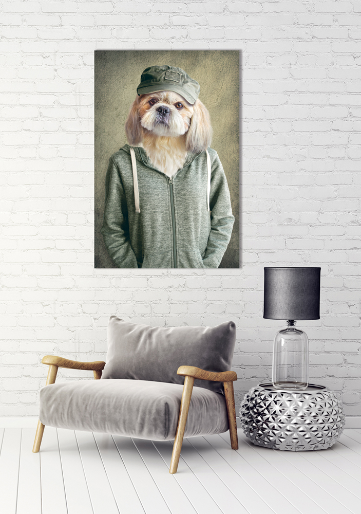 Alubild-Witziger Hund mit Jacke-image LAND
