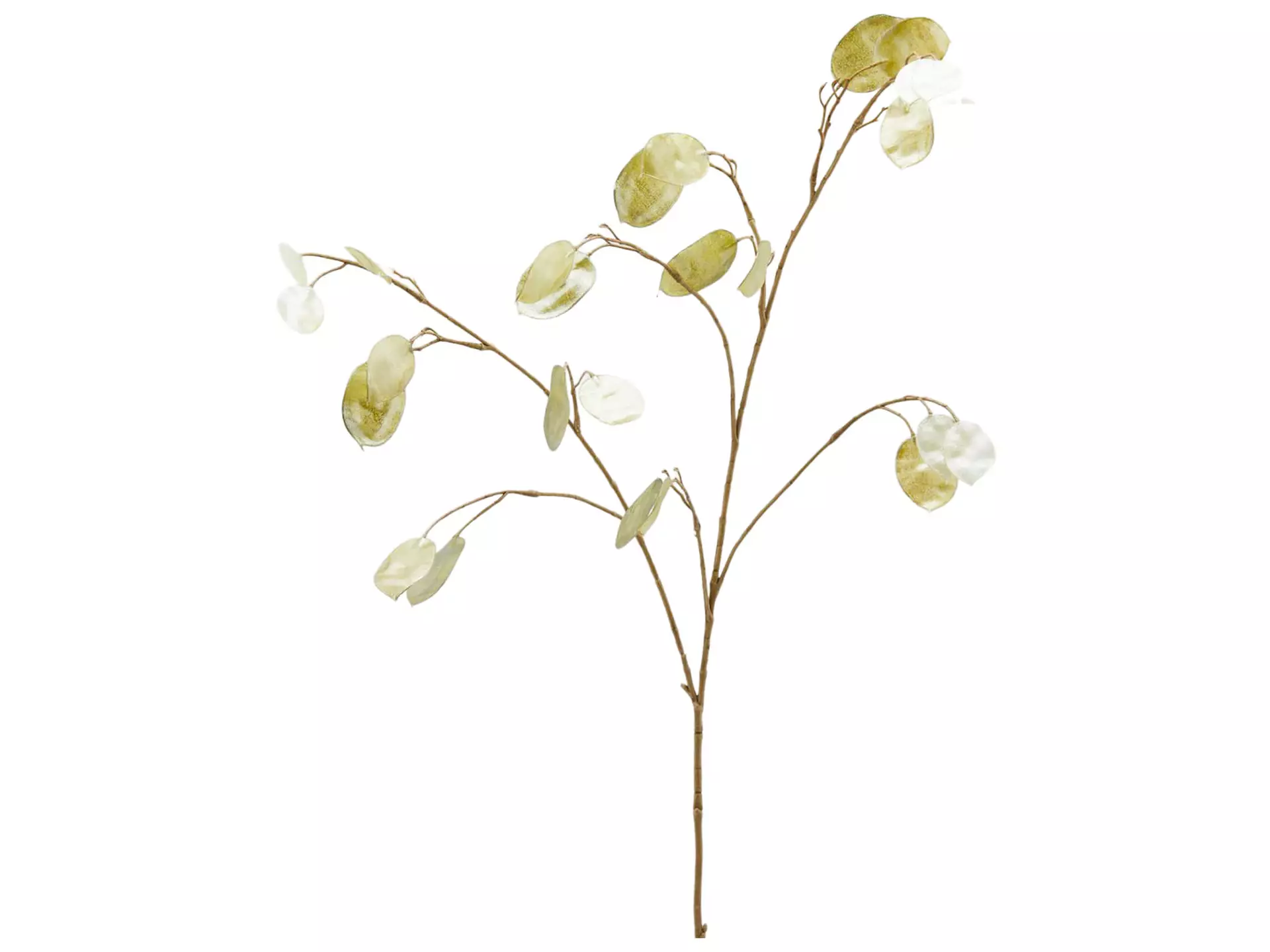 Kunstblume Lunaria Hellgrün H: 94 cm Edg