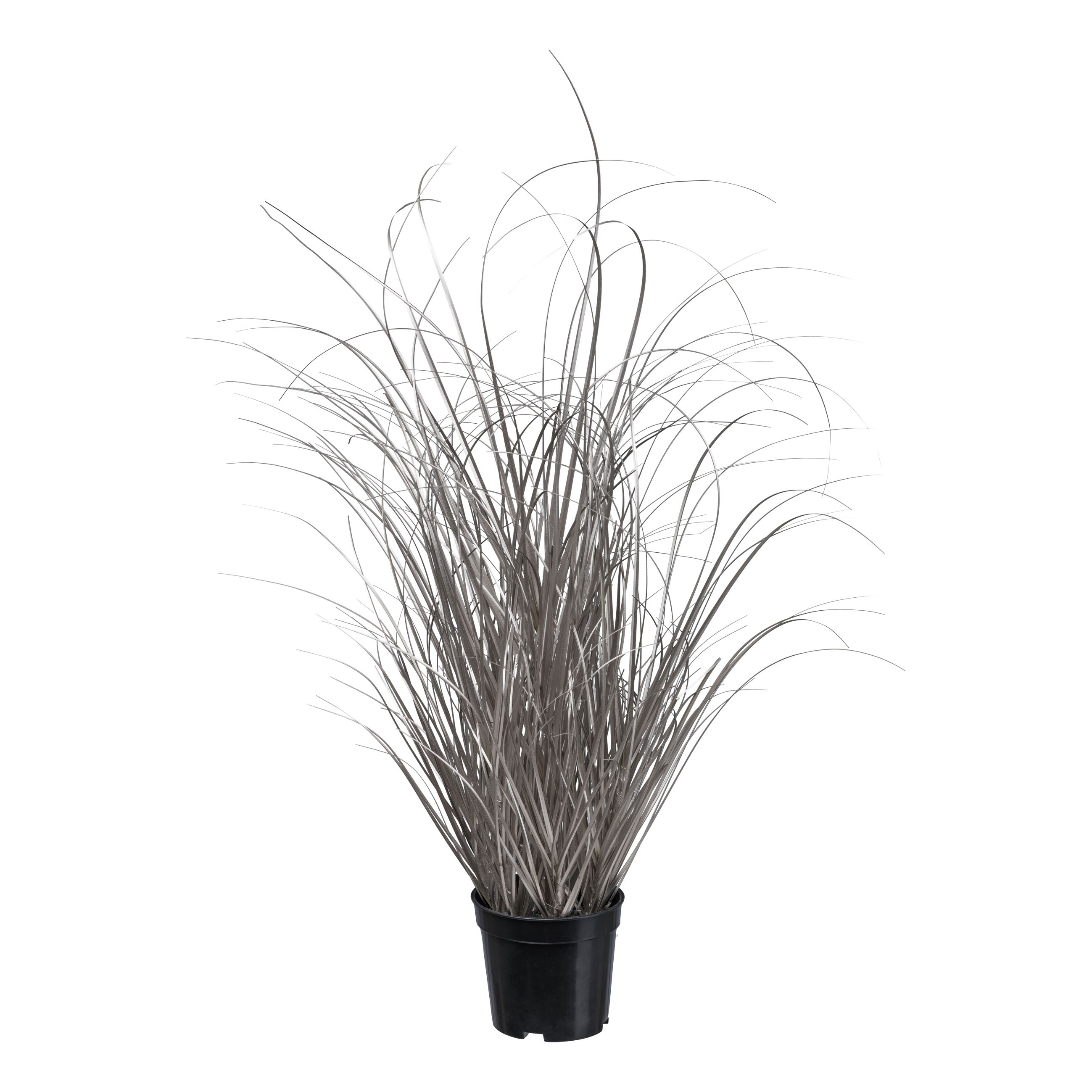 Artificial plants Grass in pot, champagne H: 73 cm Gasper / Colour: