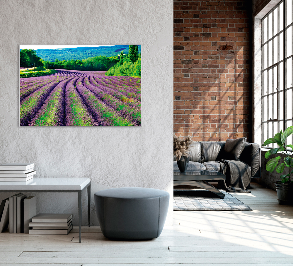 Bild mit Rahmen-Lavendelfeld 1-image LAND