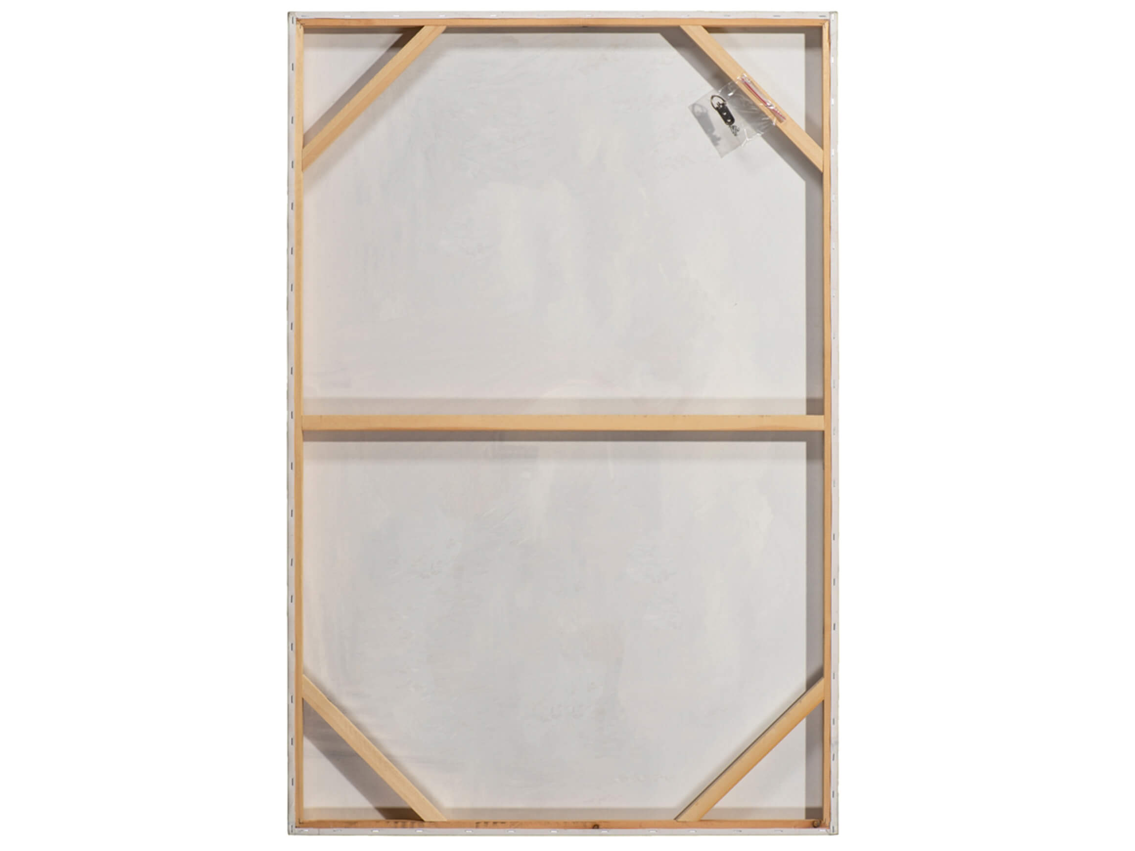 Bild Spaziergang im Blumenmeer image LAND