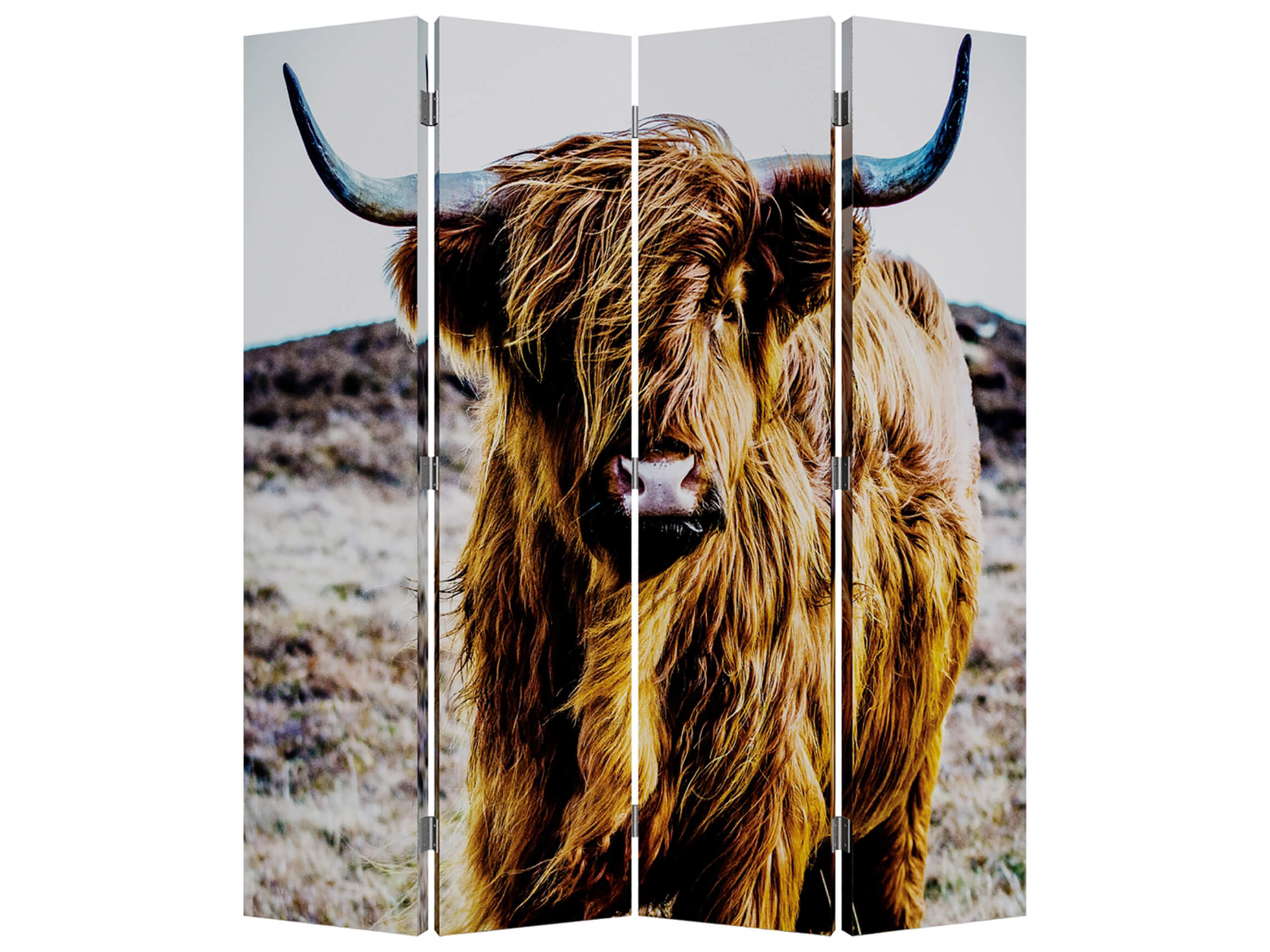 Paravent Statement Hochland Rind Wendemotiv image LAND / Grösse: 180 x 160 cm