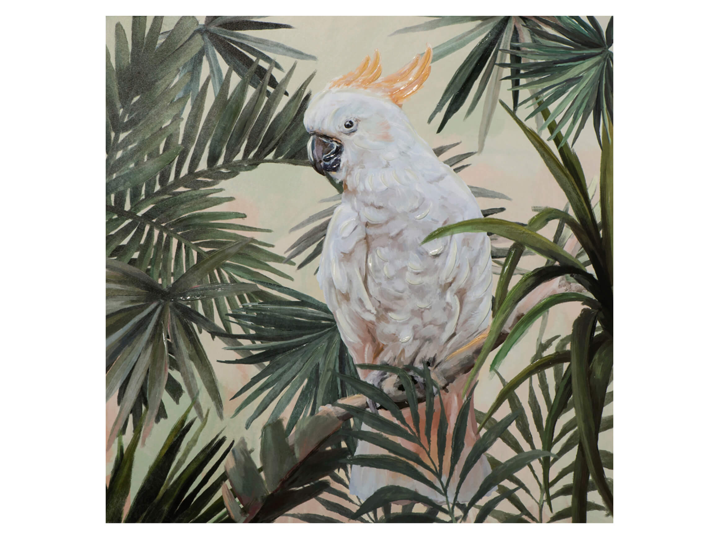 Bild Kakadu image LAND