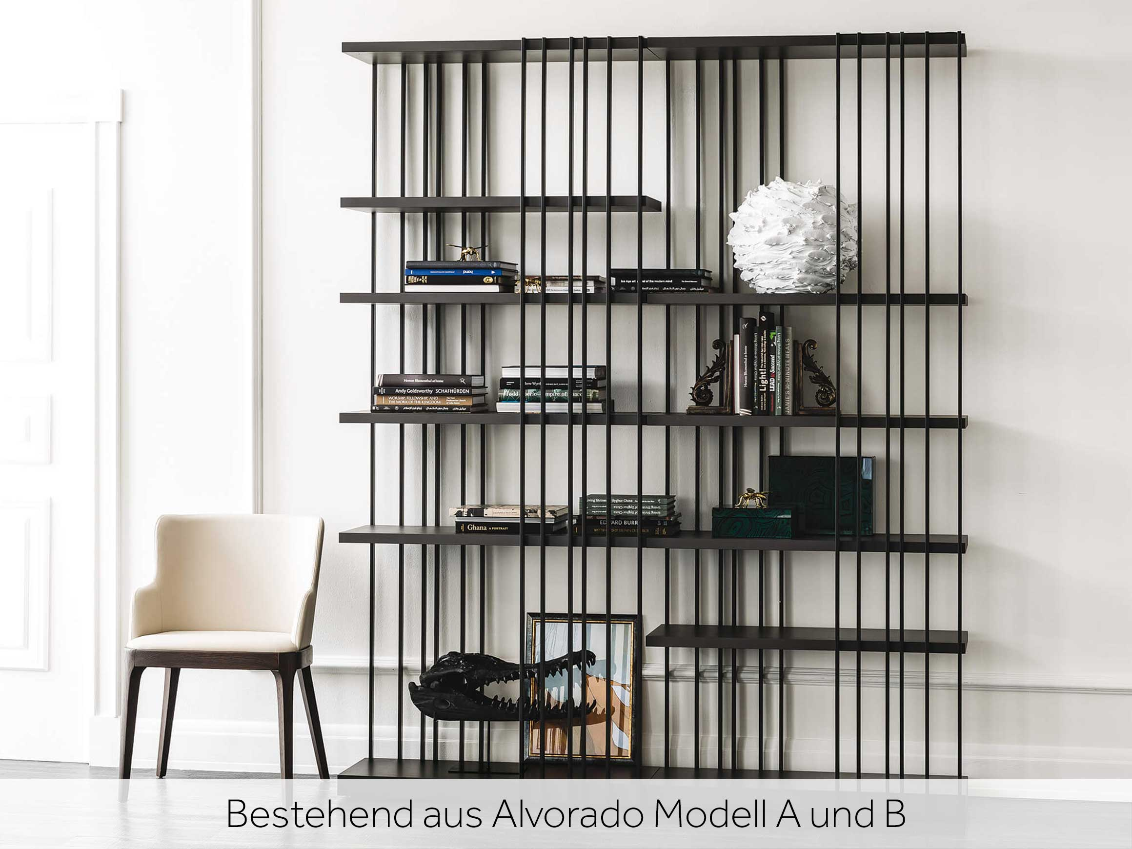 Bücherregal Arsenal Modell b Cattelan / Farbe: Graphit