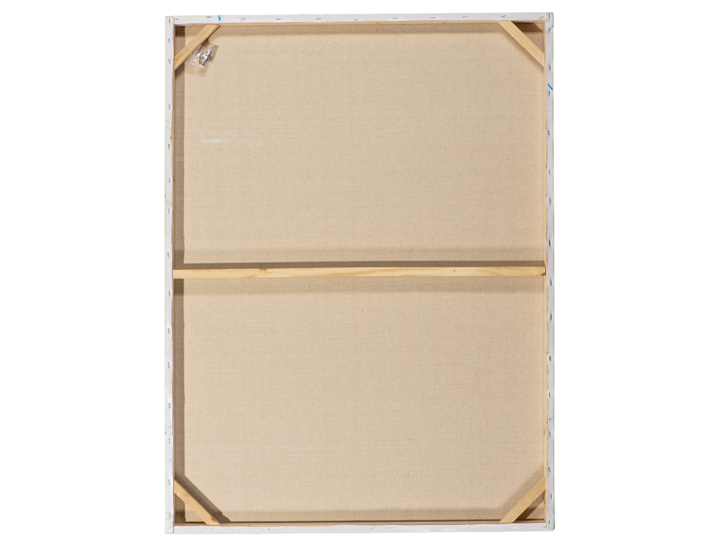 Bild Hübsche Frau mit Blumen image LAND