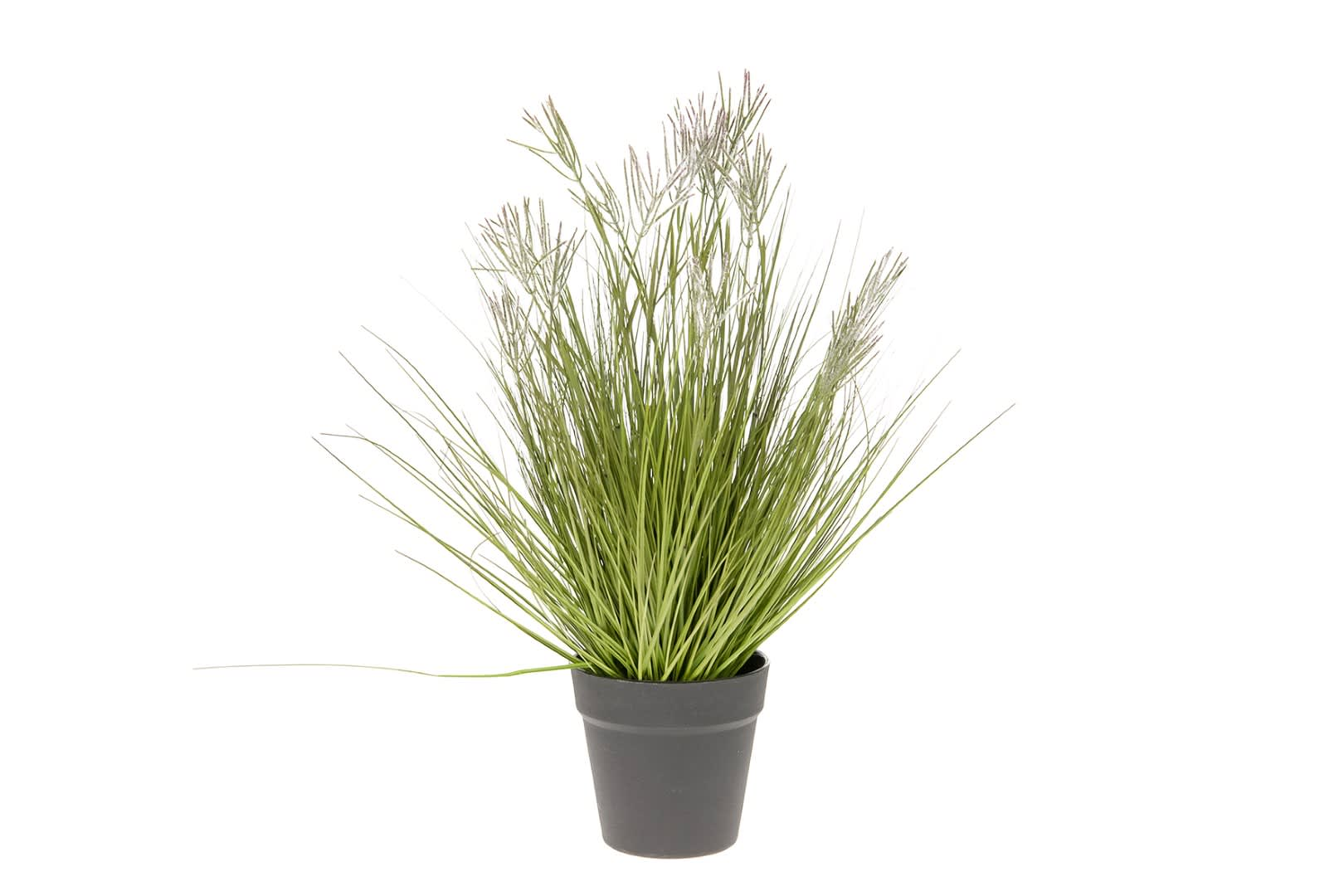 Kunstpflanzen Nadelgras im Topf H: 54 cm Decofinder