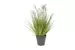 Kunstpflanzen-Nadelgras im Topf H: 54 cm-Decofinder
