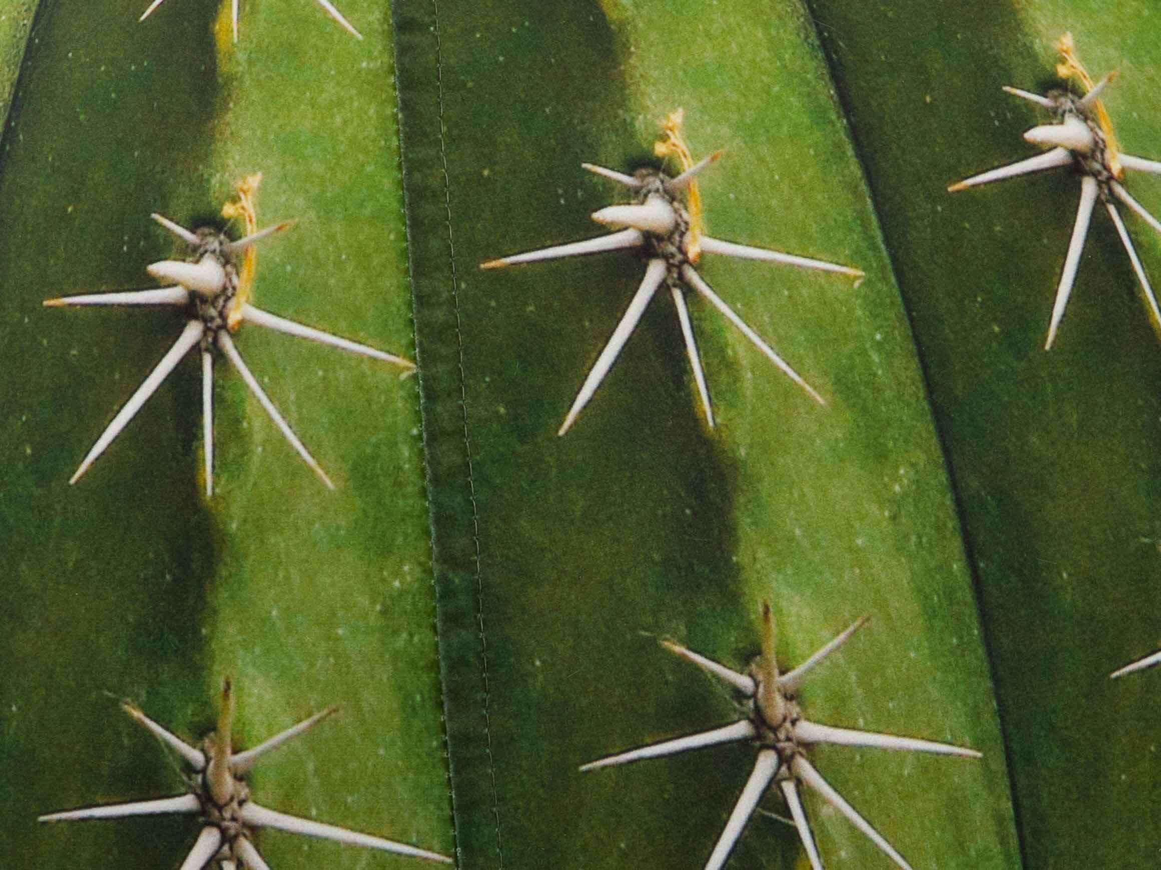 Sitzball Kaktus Grün von Magma