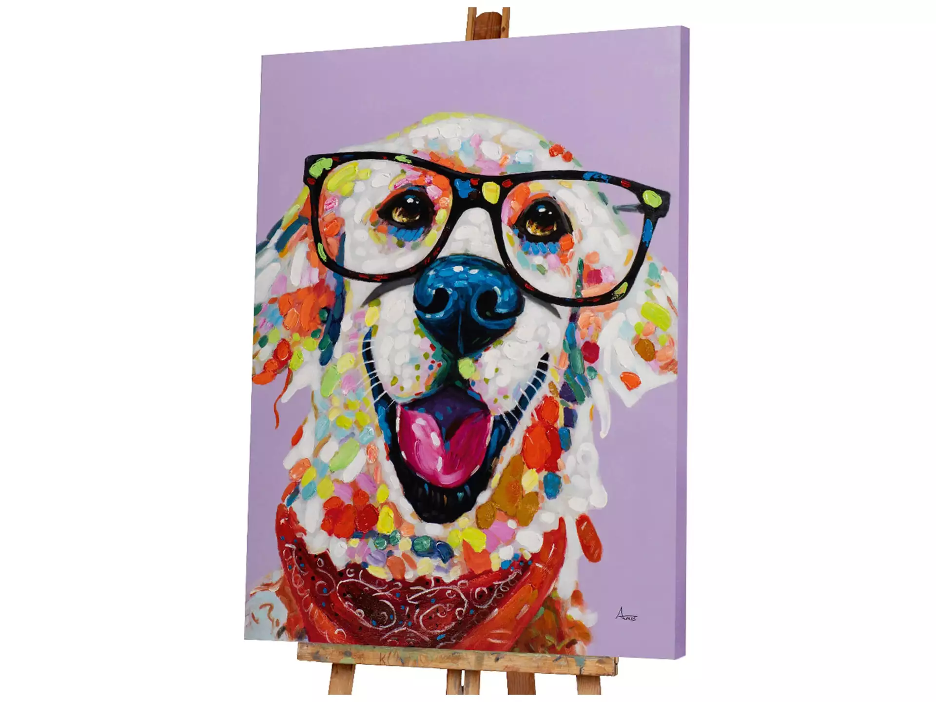 Bild Lustiger Bunter Hund mit Brille image LAND