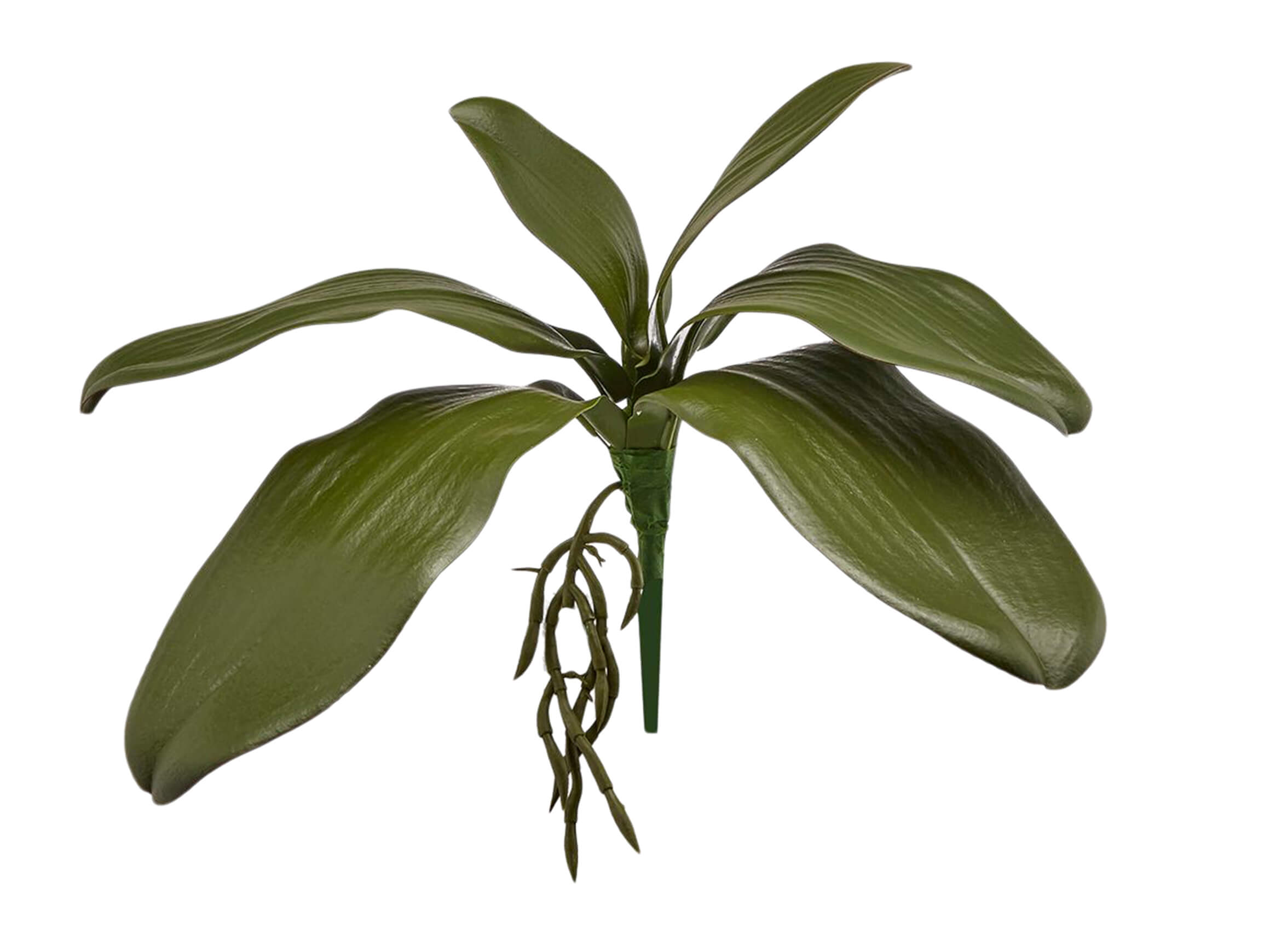 Kunstblume Orchideenblätter H: 27 cm Edg