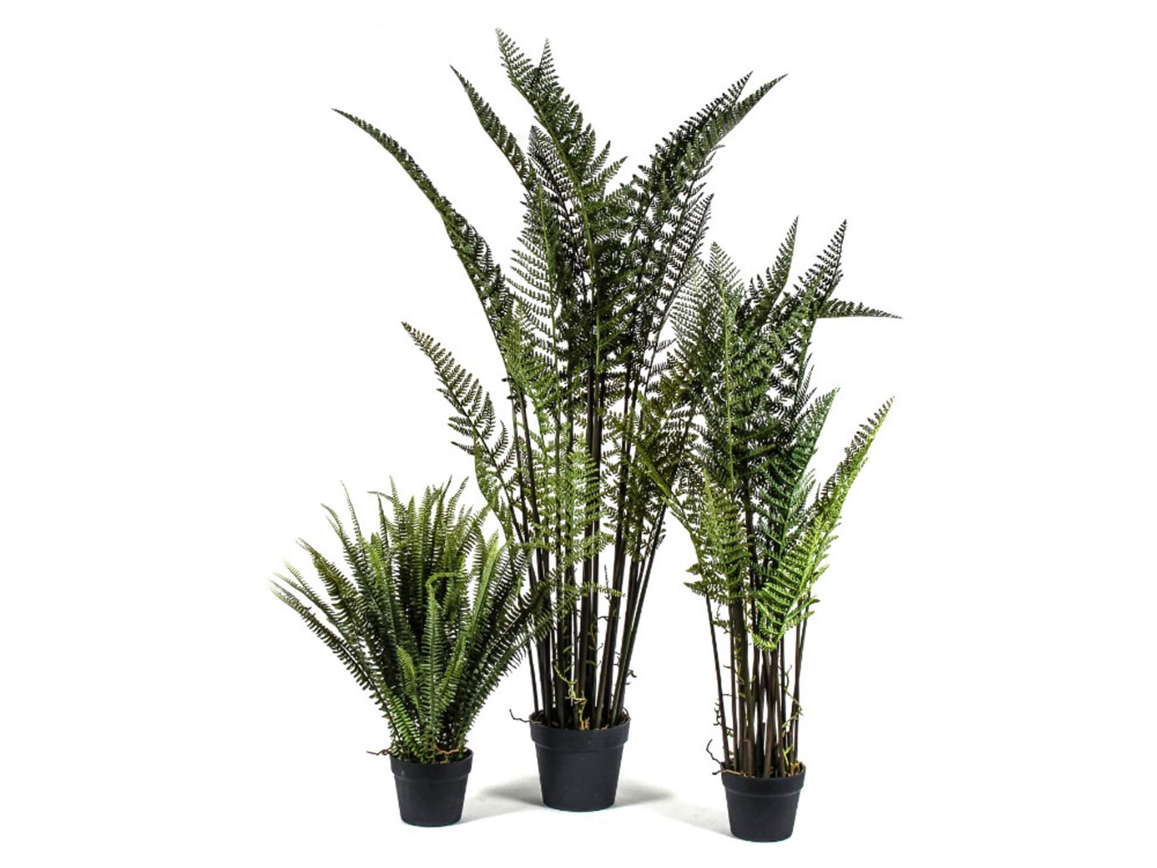 Artificial plants leather fern H: 116 cm Decofinder