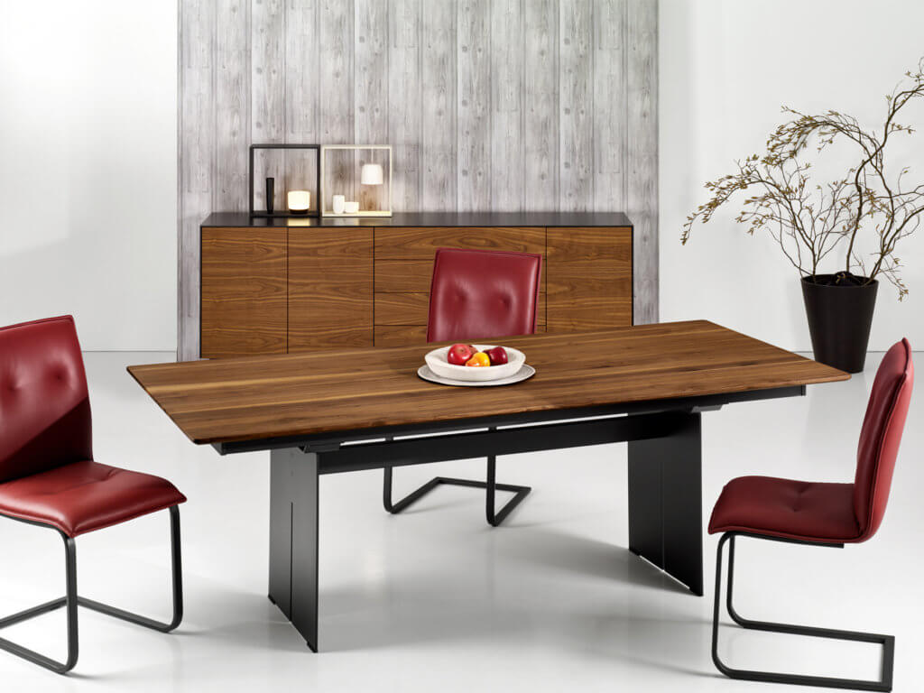 Esstisch Arena Seetal / Tischblattmass (BxT) :220 x 98 cm