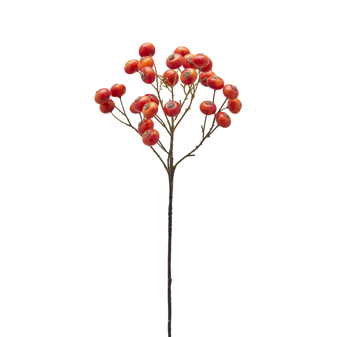 Edg Kunstblumen Beeren Dunkelorange H: 60 cm  | Schubiger Möbel