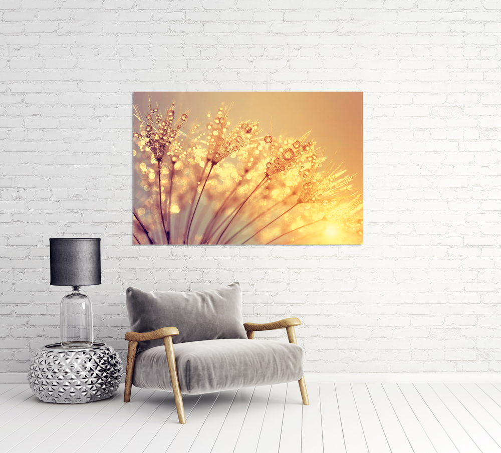 Alubild Pusteblume mit Morgentau image LAND