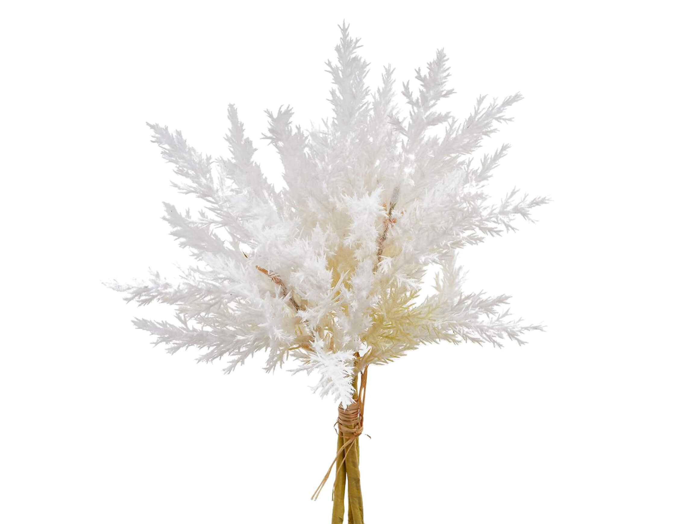 Edg Kunstblume Fruchtstand Paluster Ivory H: 25 cm  | Schubiger Möbel