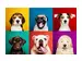 Digitaldruck auf Acrylglas Lustige Hunde image LAND / Grösse: 120 x 80 cm