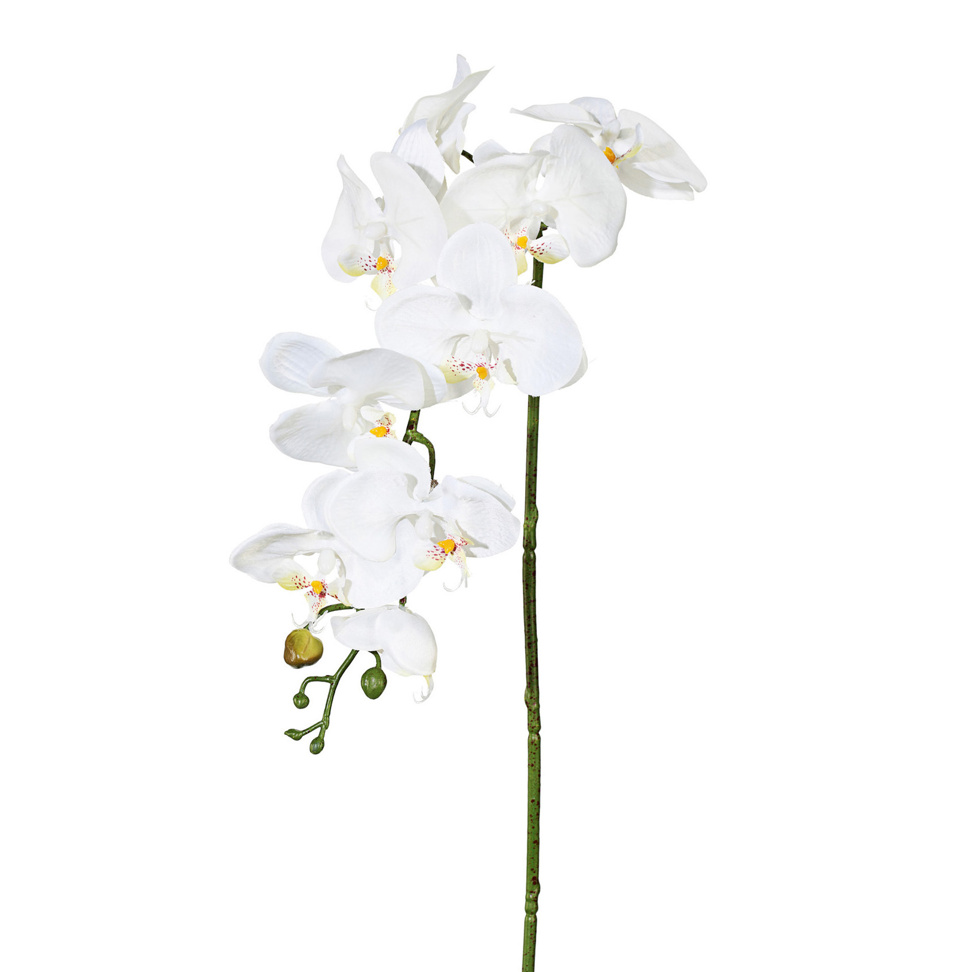 Gasper Kunstblume Orchidee, Creme  | Schubiger Möbel