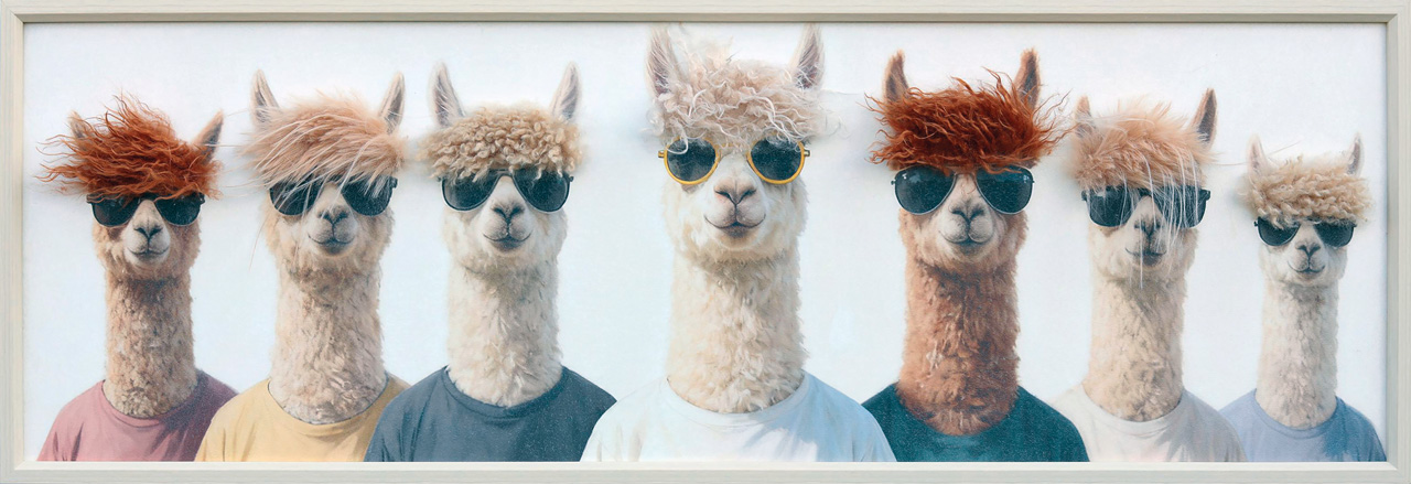 Gemälde-Boyband The Lama Pacos-image LAND