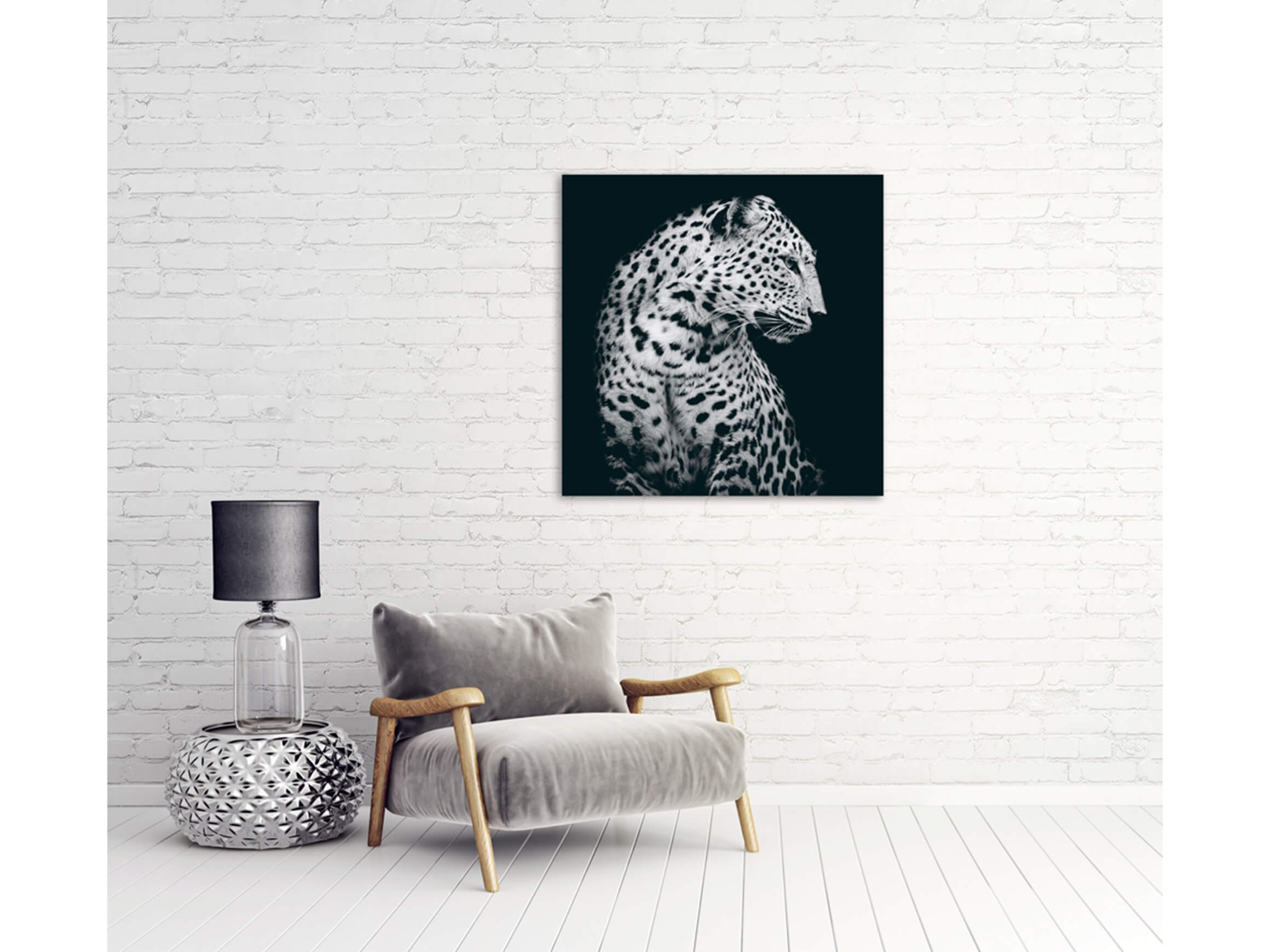 Bild Leopard in Der Nacht image LAND