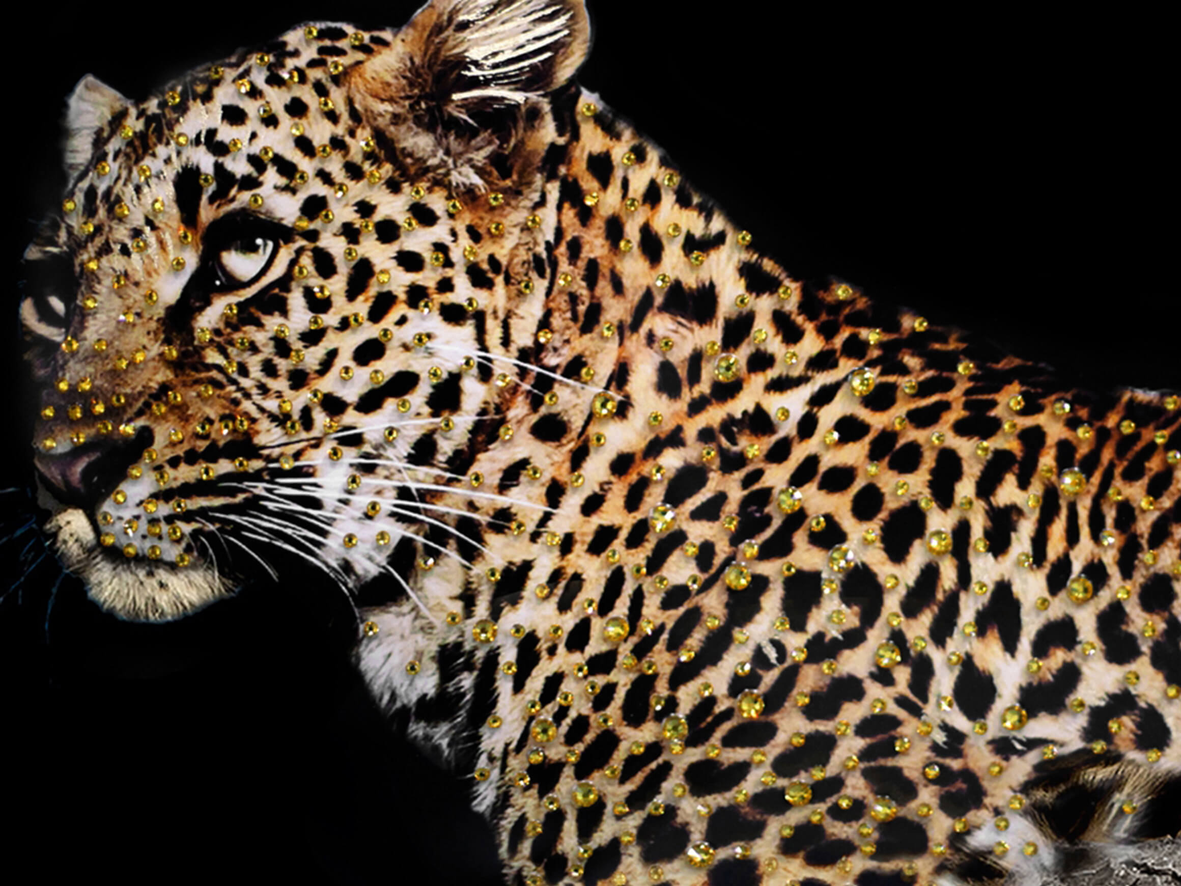 Digitaldruck auf Glas Leopard Auf Ast image LAND