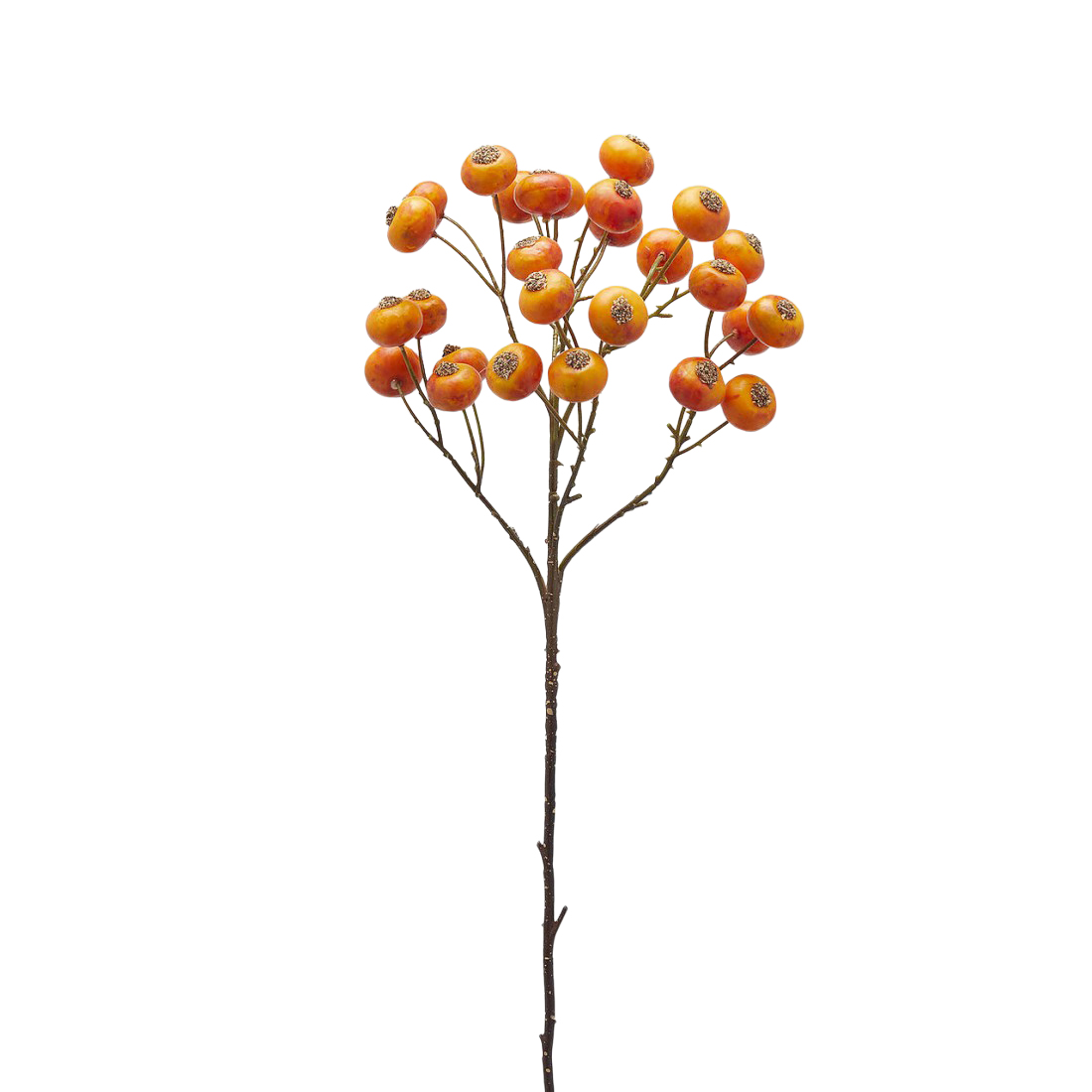 Edg Kunstblumen Beeren Orange H: 60 cm  | Schubiger Möbel