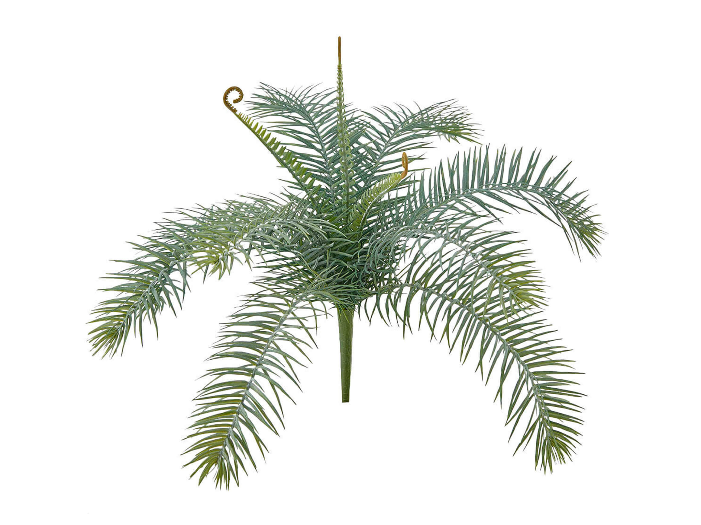 Edg Kunstpflanze Graugrün H: 43 cm Grau | Schubiger Möbel