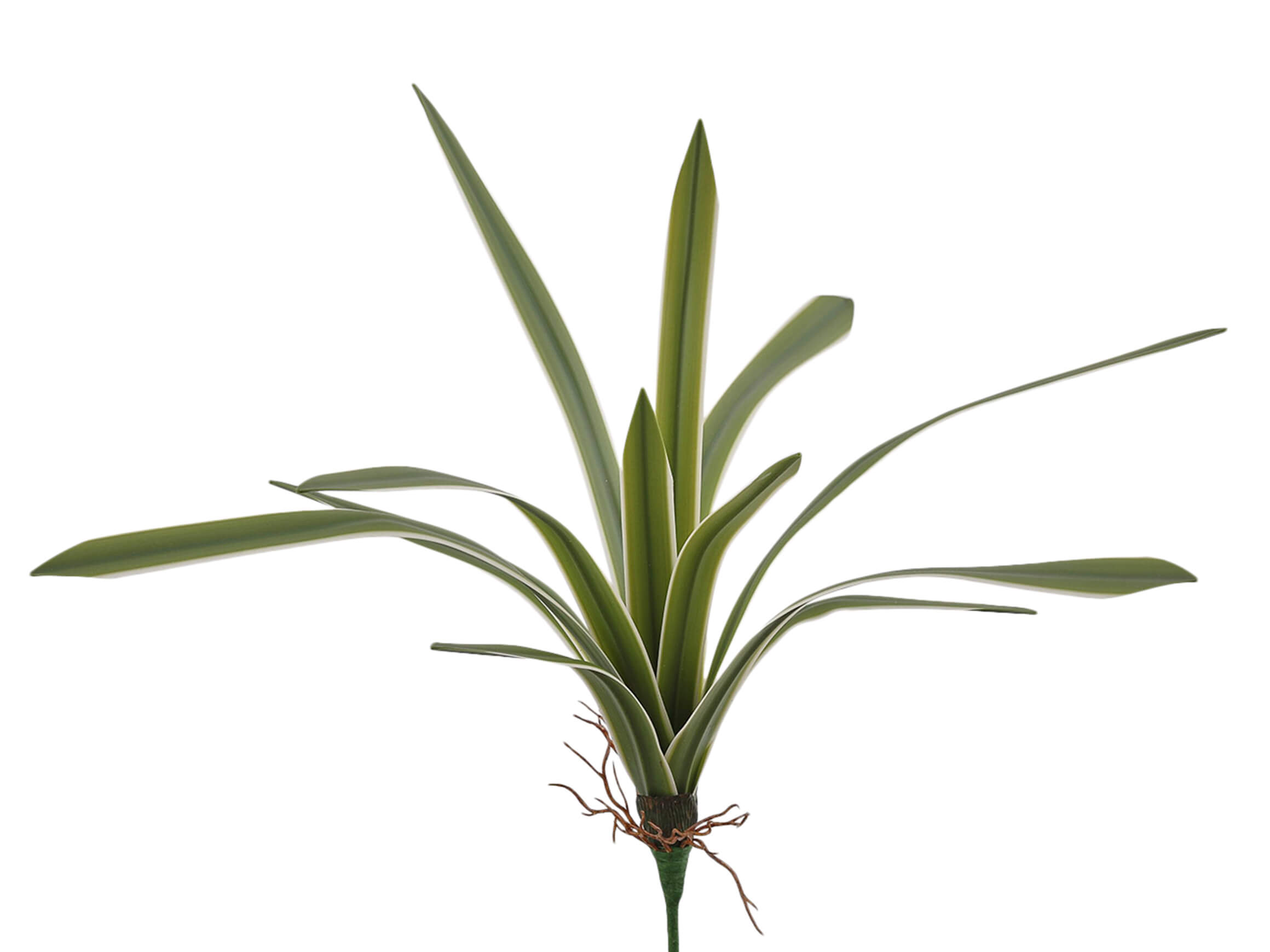 Kunstblume Chlorophytum Weiss-Grün H: 51 cm Edg