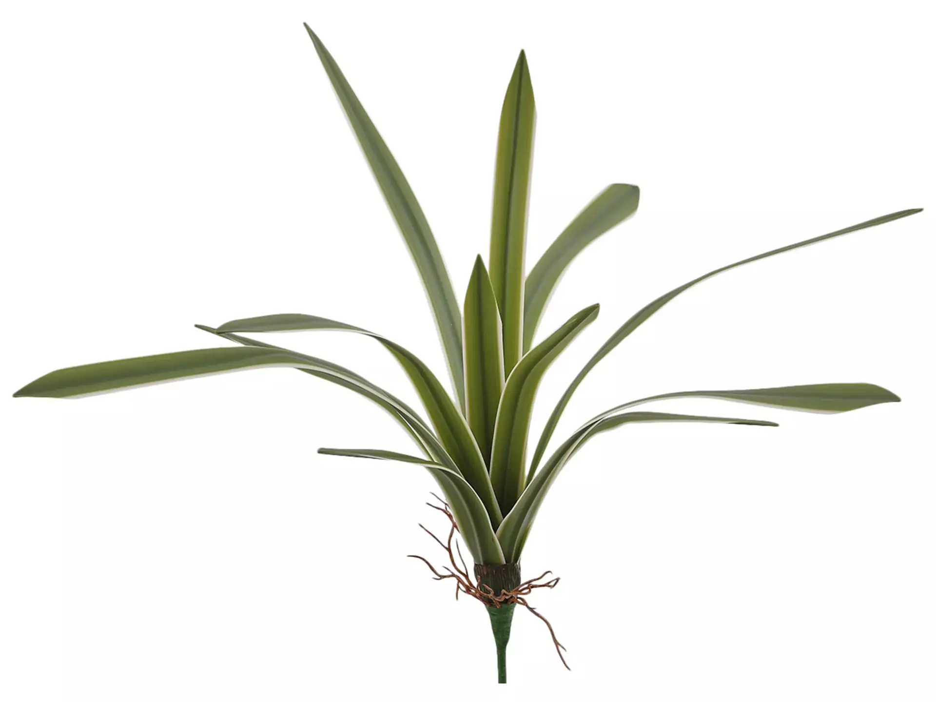 Kunstblume Chlorophytum Weiss-Grün H: 51 cm Edg