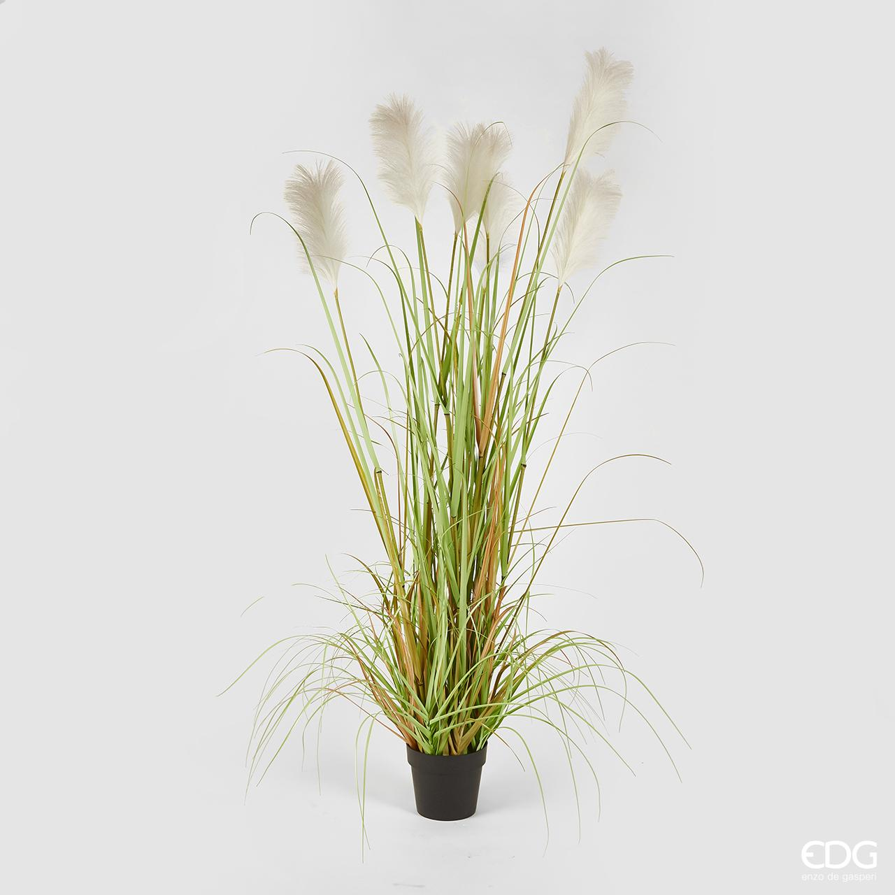 Kunstpflanze Pampasgrass Creme D: 183 cm Edg