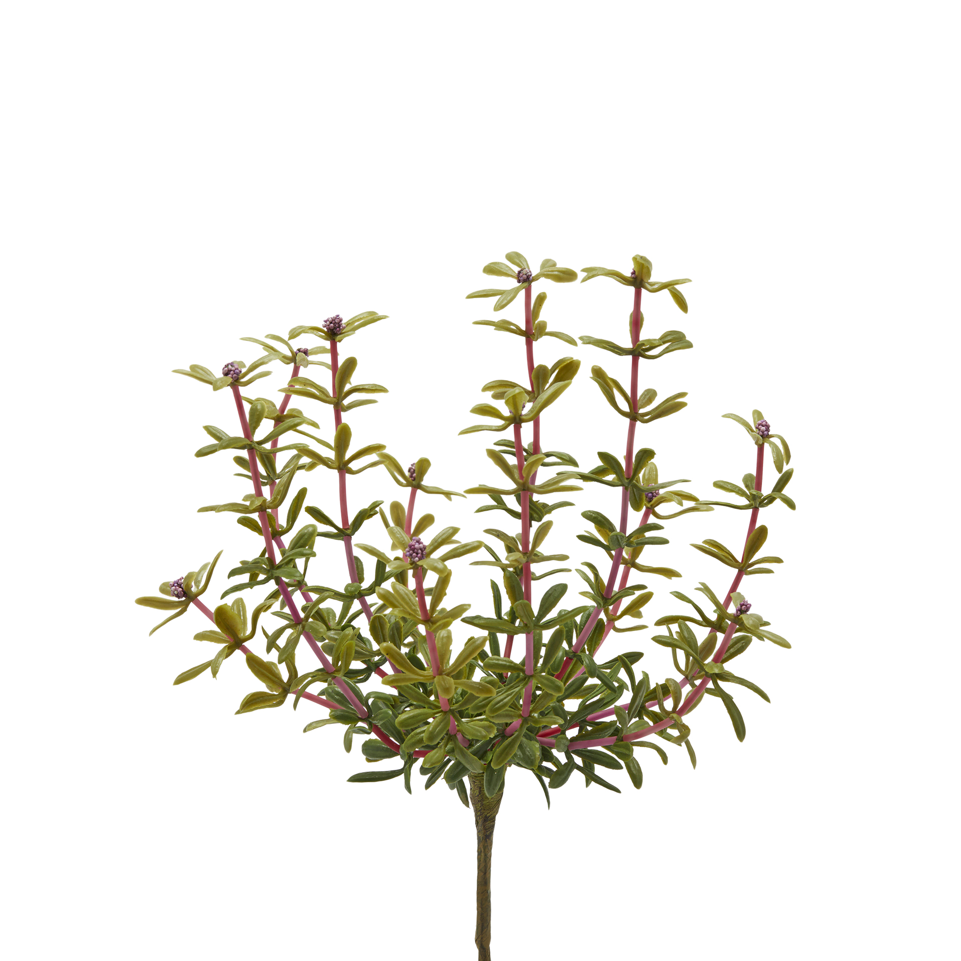 Kunstblume Portulak Fuchsia H: 27 cm Edg