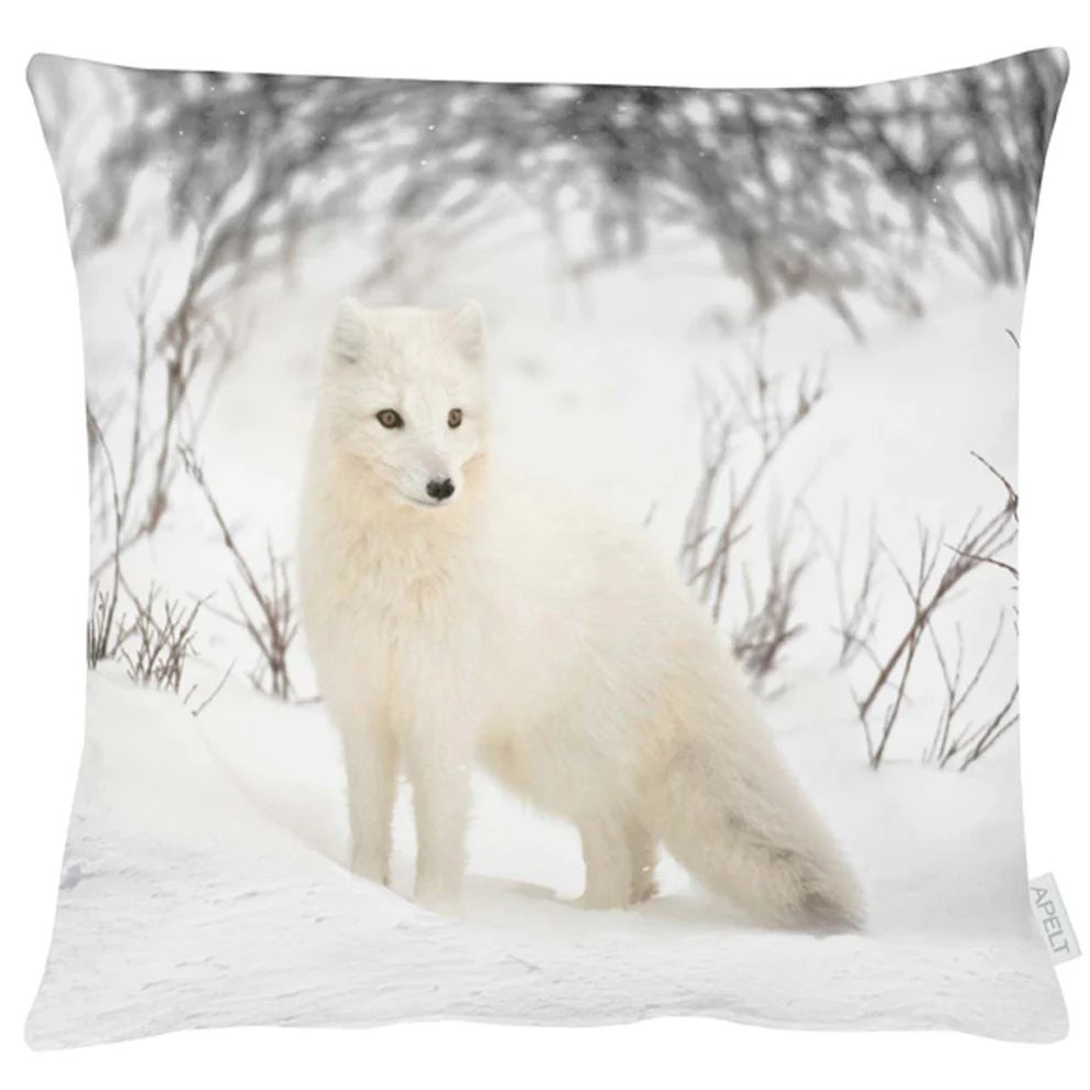 Apelt Kissenhülle Schneefuchs 45x45 cm  | Schubiger Möbel