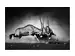 Digitaldruck auf Acrylglas 2 Kämpfende Oryx image LAND