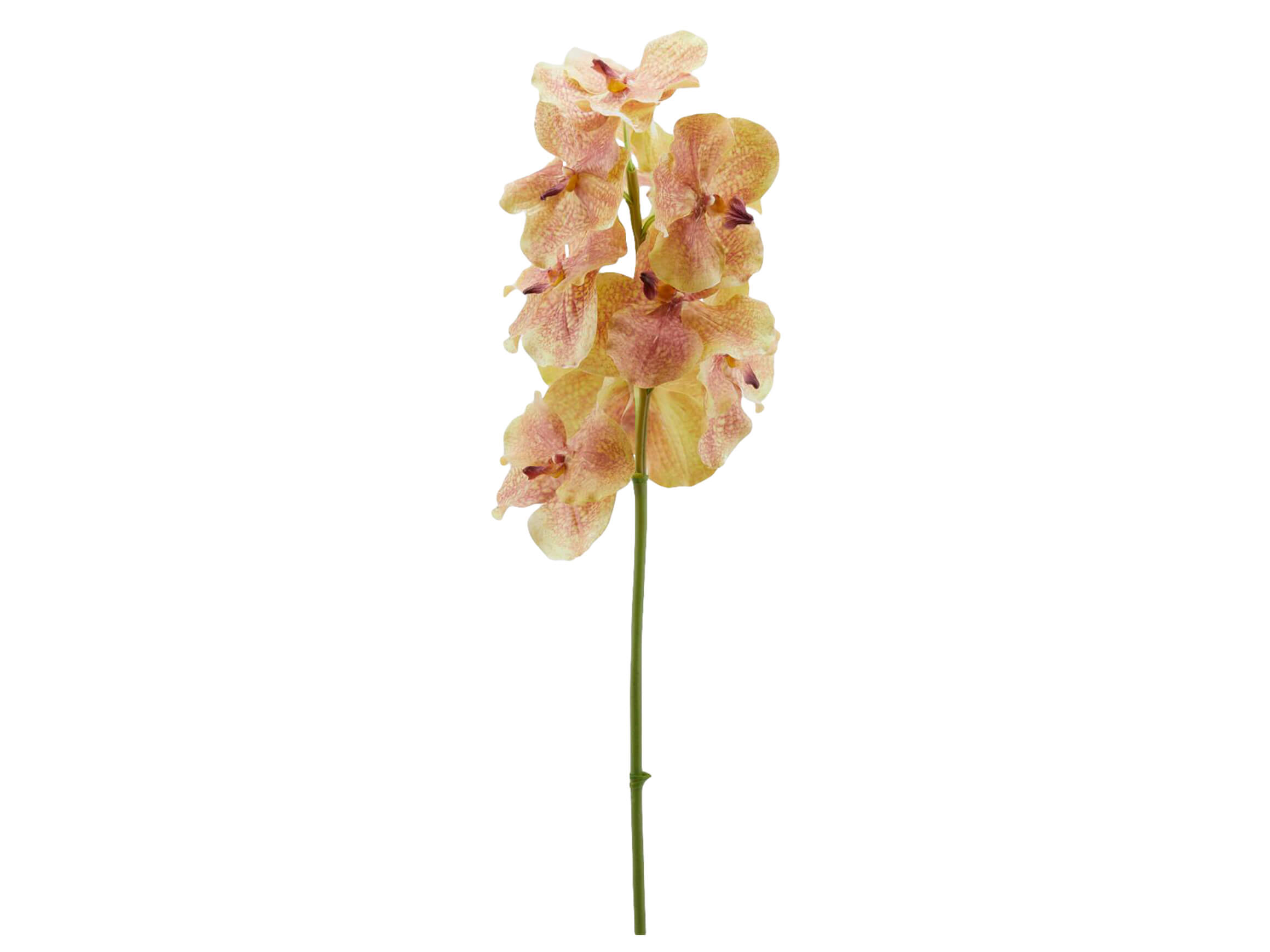 Kunstblume Orchidee Vanda Grün-Pink H: 93 cm Edg / Farbe: Grün Pink