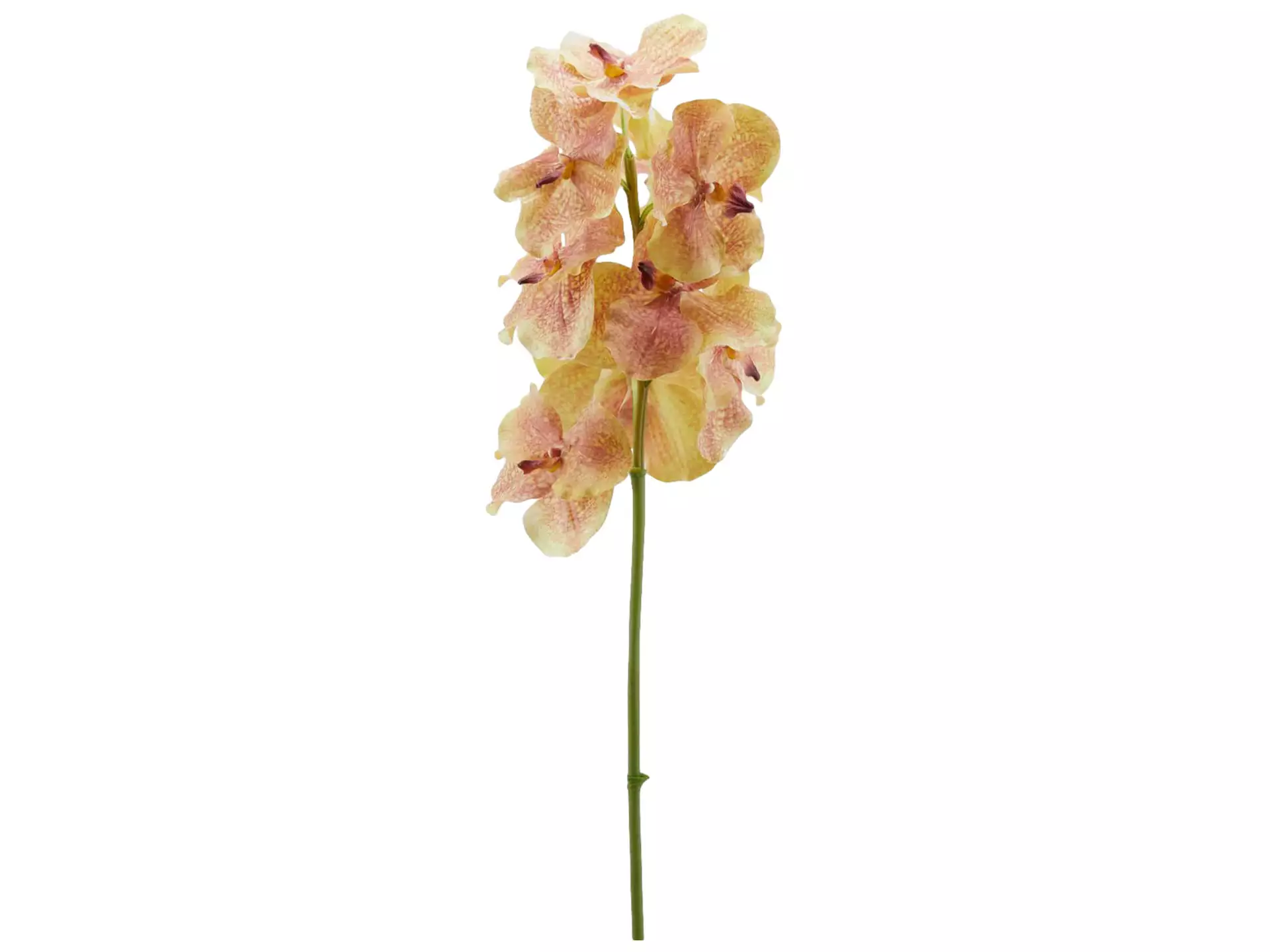 Kunstblume Orchidee Vanda Grün-Pink H: 93 cm Edg / Farbe: Grün Pink