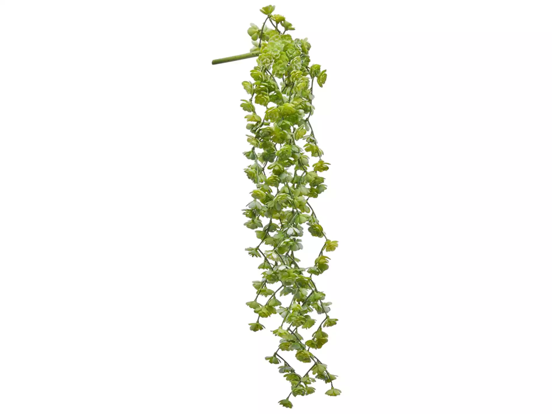 Kunstblumen Echeveria Hellgrün H: 44 cm Edg