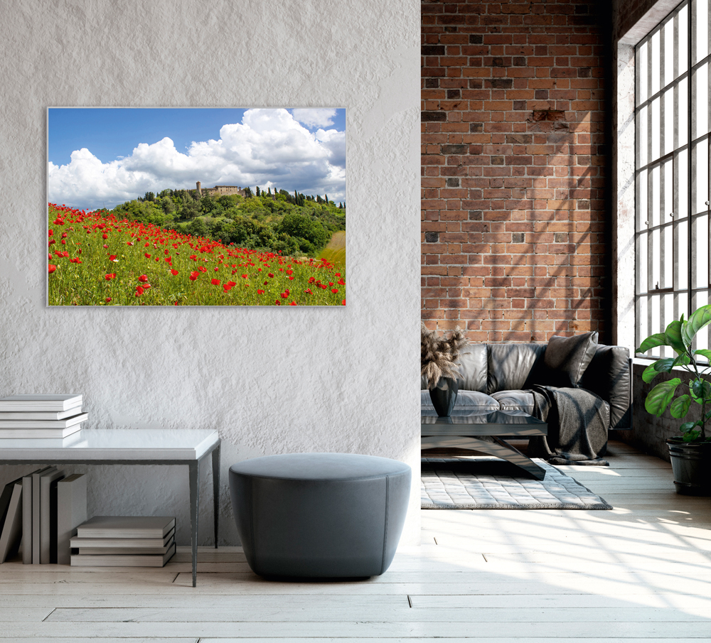 Bild mit Rahmen-Mohnwiese 1-image LAND