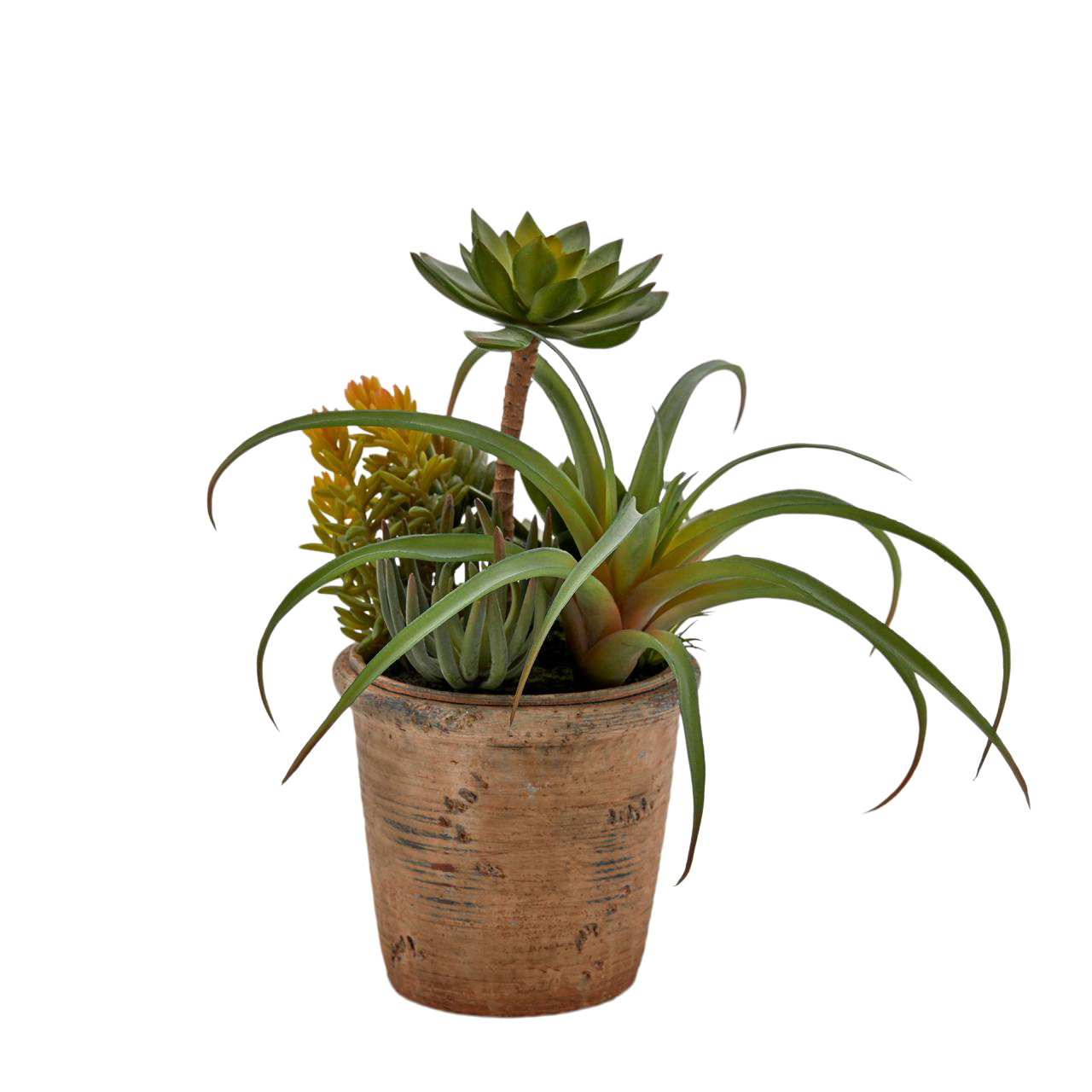 Kunstpflanze Succulenten Mix H: 32 cm Edg