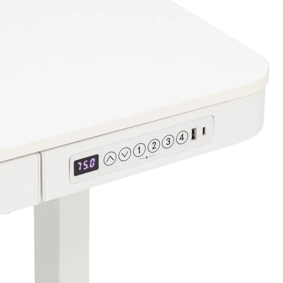 Schreibtisch Rise Lifetime Kidsrooms