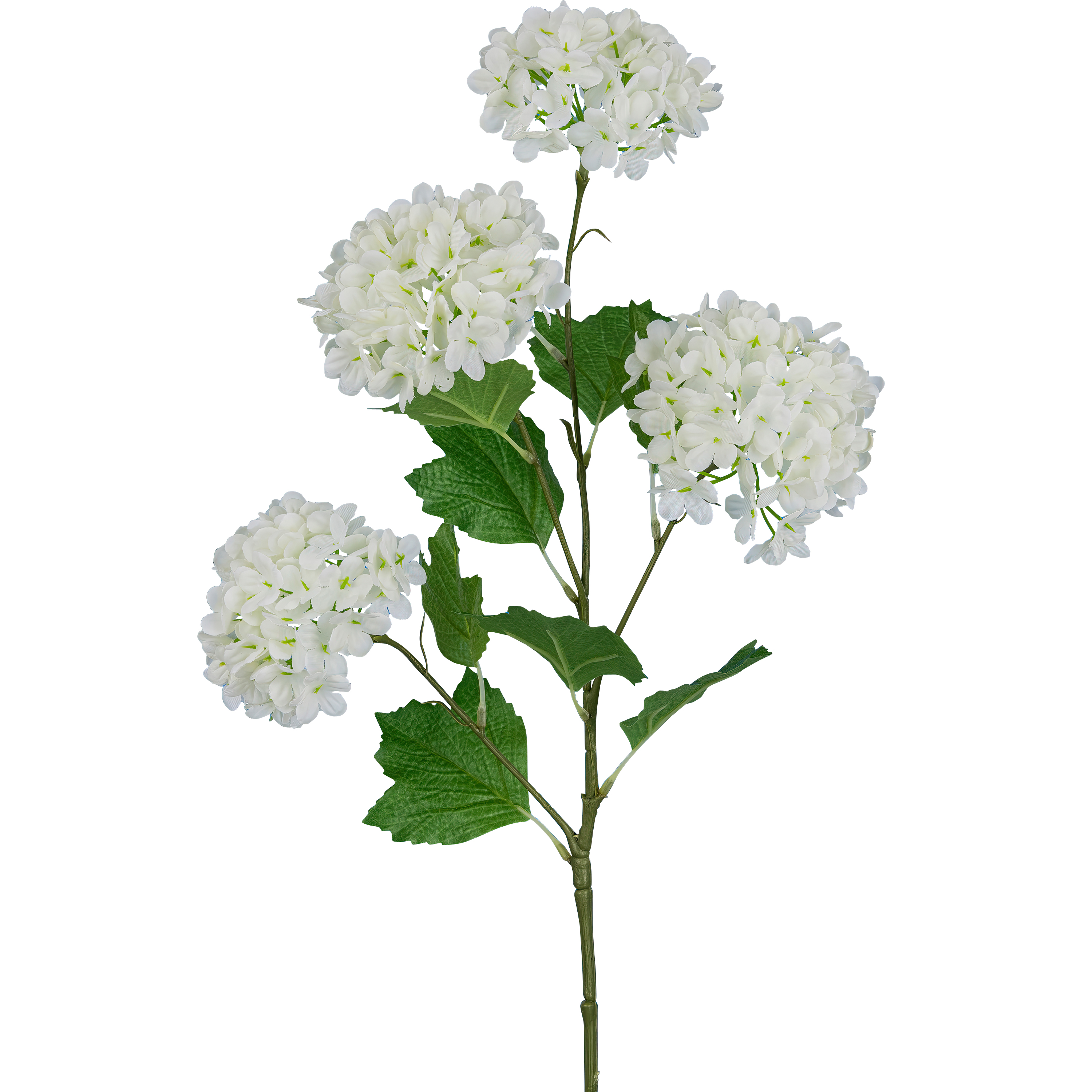 Gasper Kunstblume Schneeballzweig, Weiss  | Schubiger Möbel