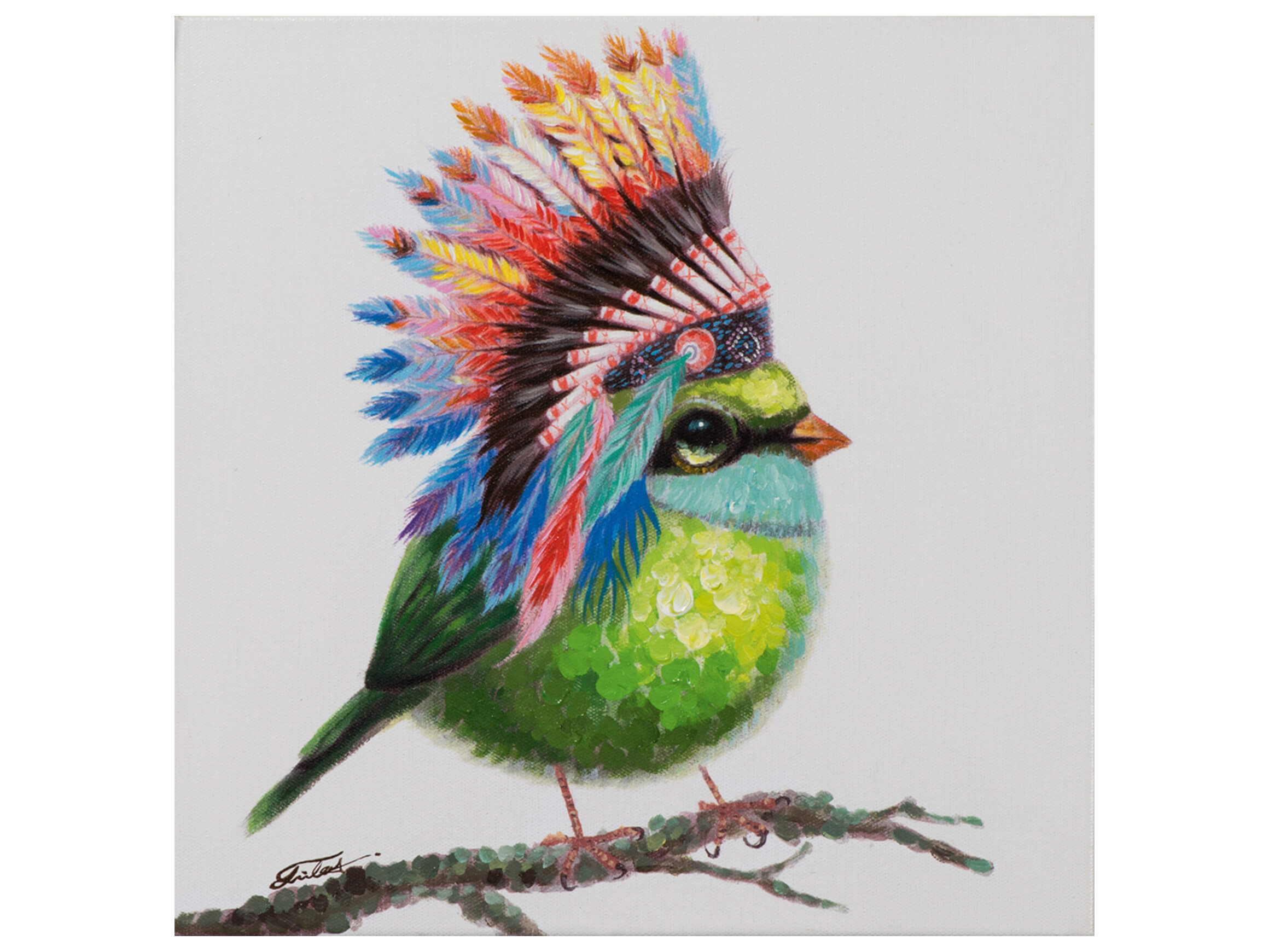 Bild Vogel mit Indianerperücke image LAND